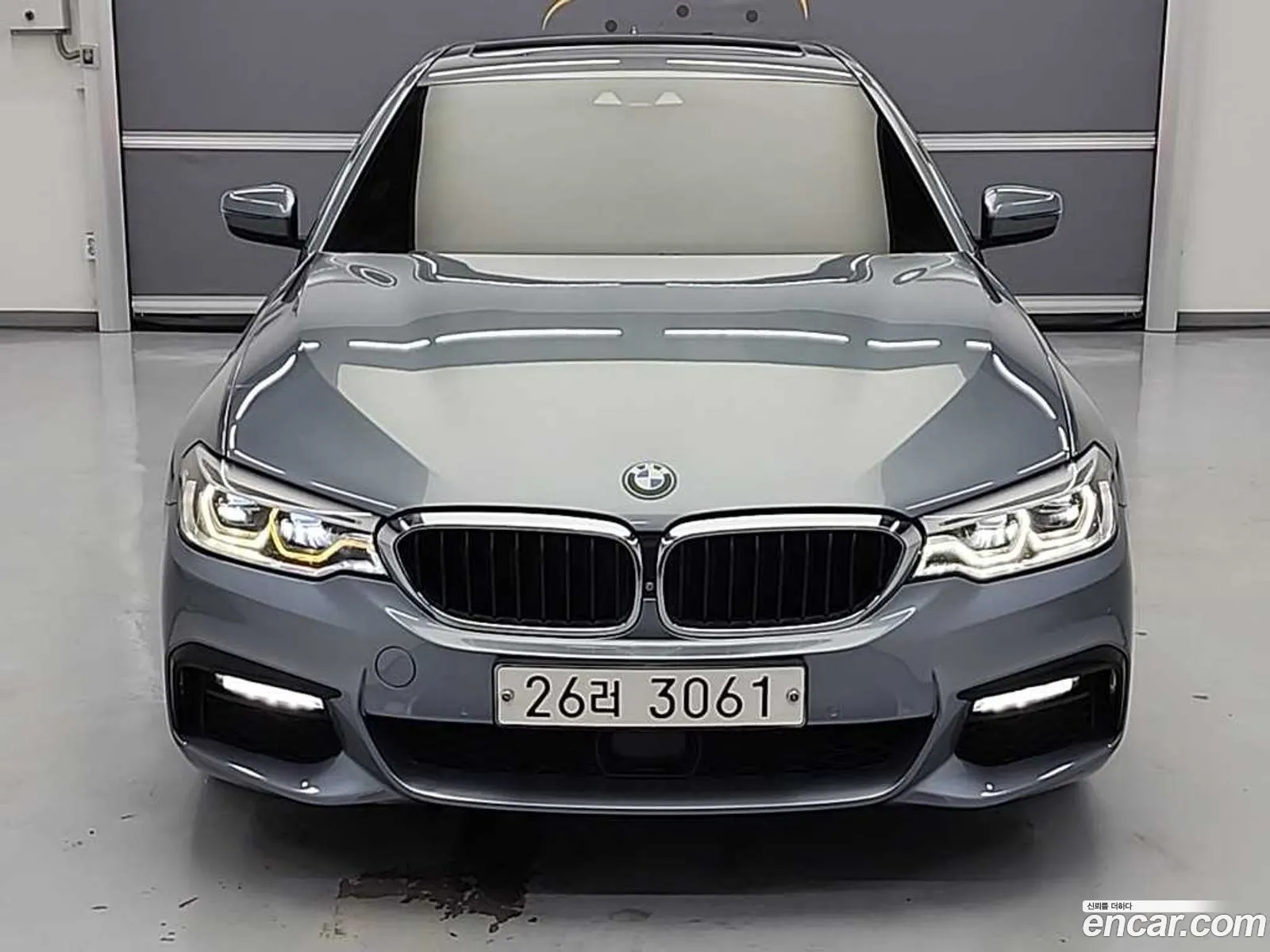 BMW 5 Series 2017 — 19