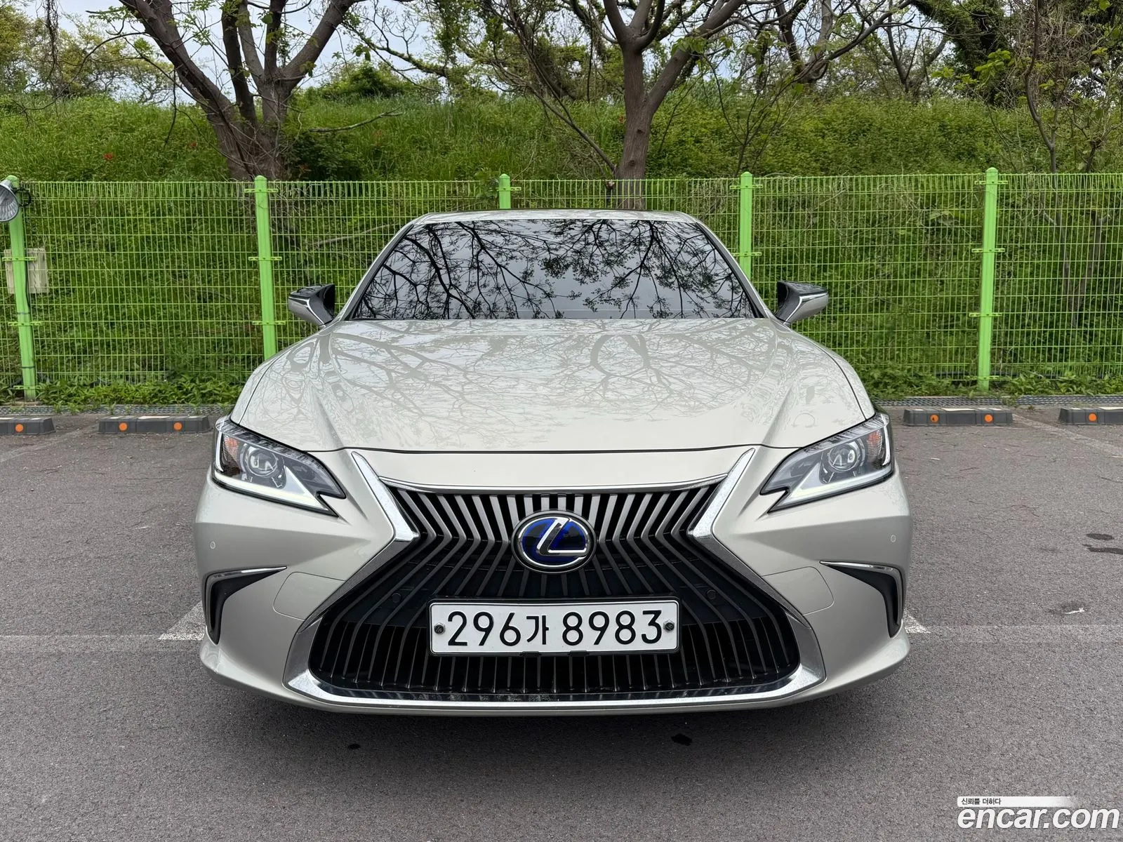 Lexus ES300h 7th Gen 2020 — 12