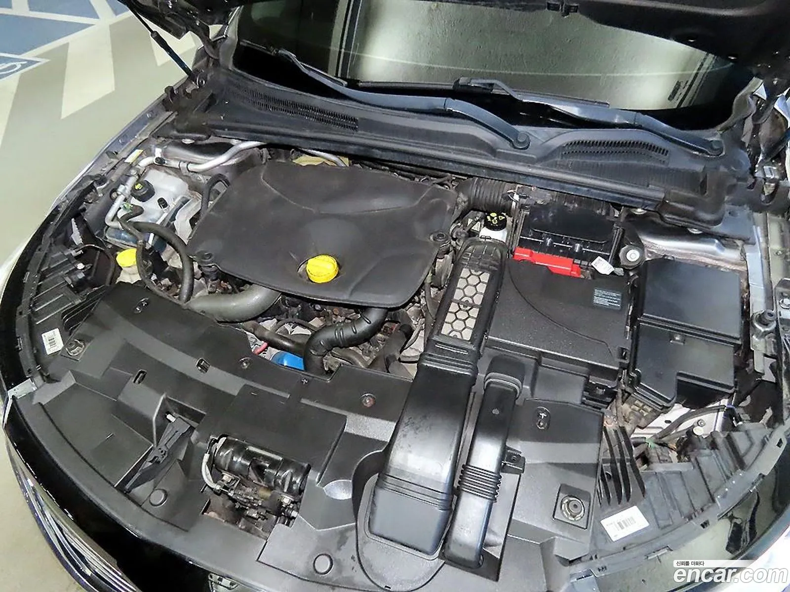 Renault Korea (Samsung) SM6 2016 — 19