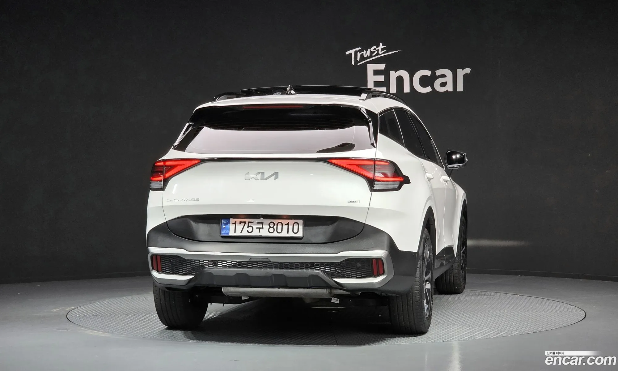 Kia Sportage Hybrid 2024 — 31