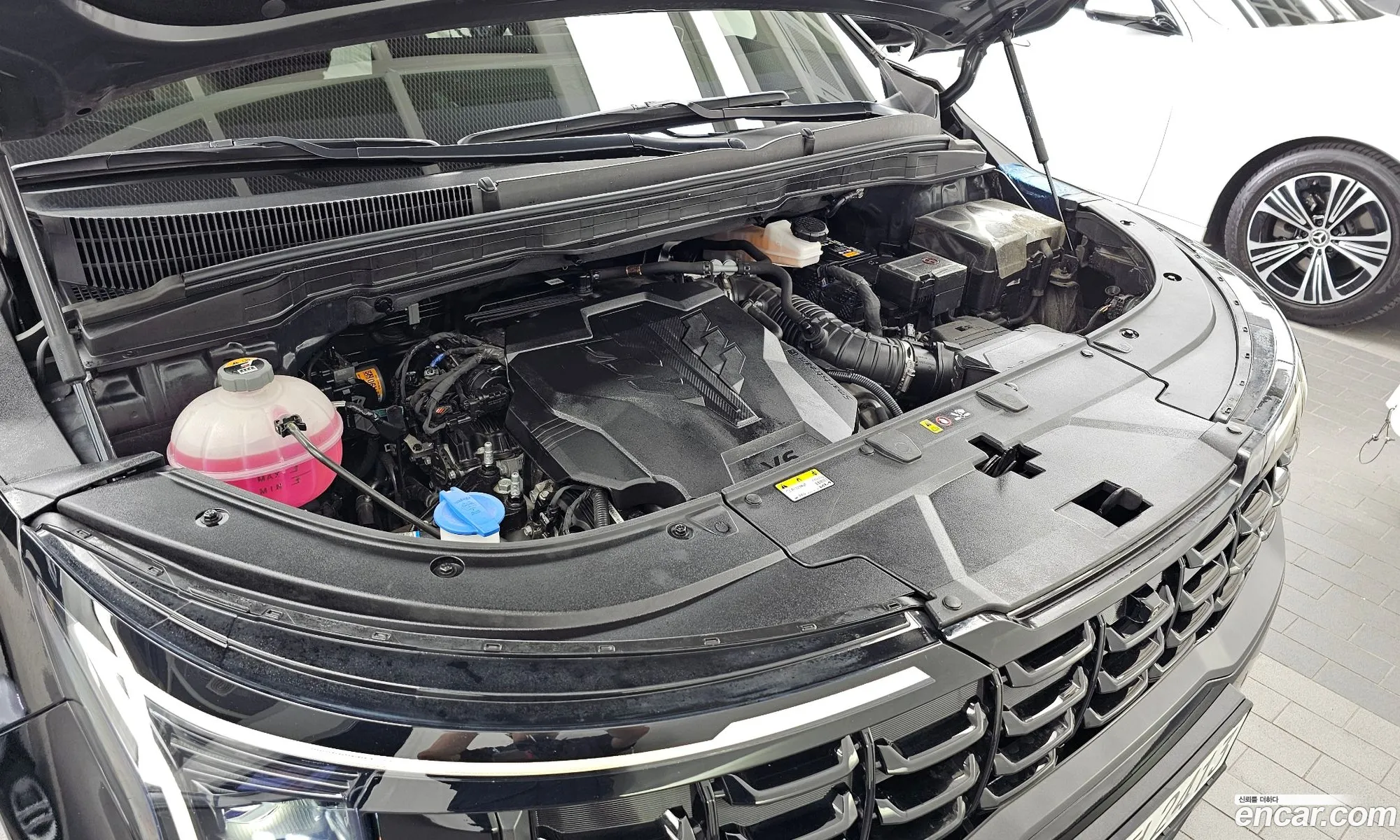 Kia Carnival 2024 — 5