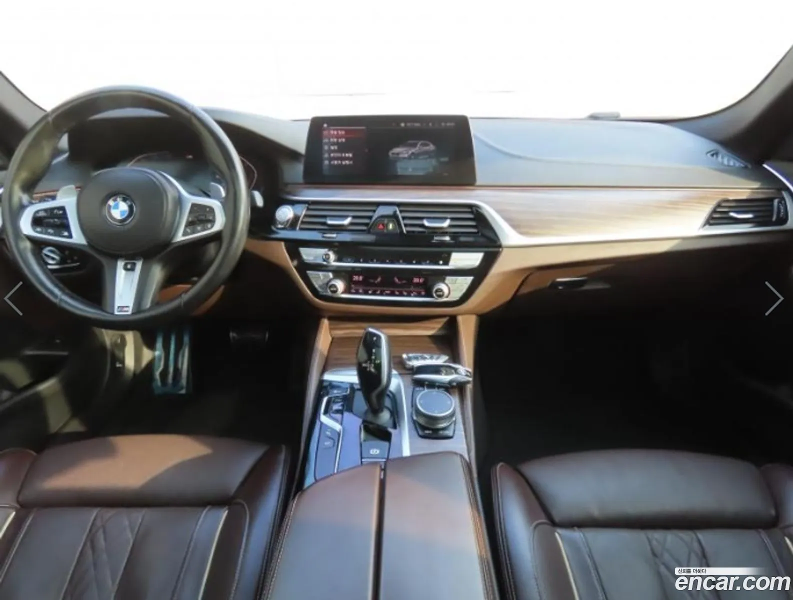 BMW 5 Series 2020 — 17