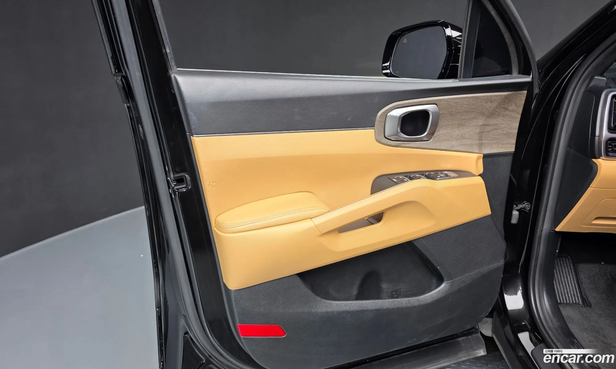 Kia Sorento 2023 KNARL81BGPA207349 — 17