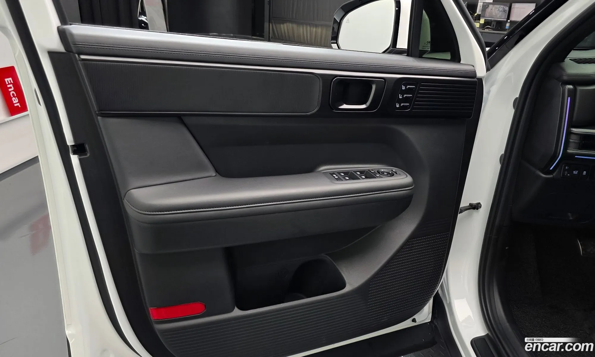 Hyundai Santa Fe 2024 — 17