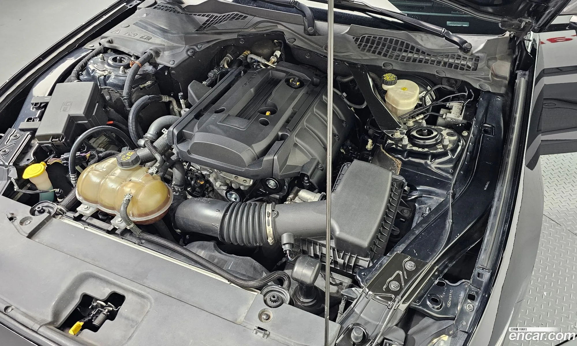 Ford Mustang 2016 1FA6P8TH7G5214587 — 17