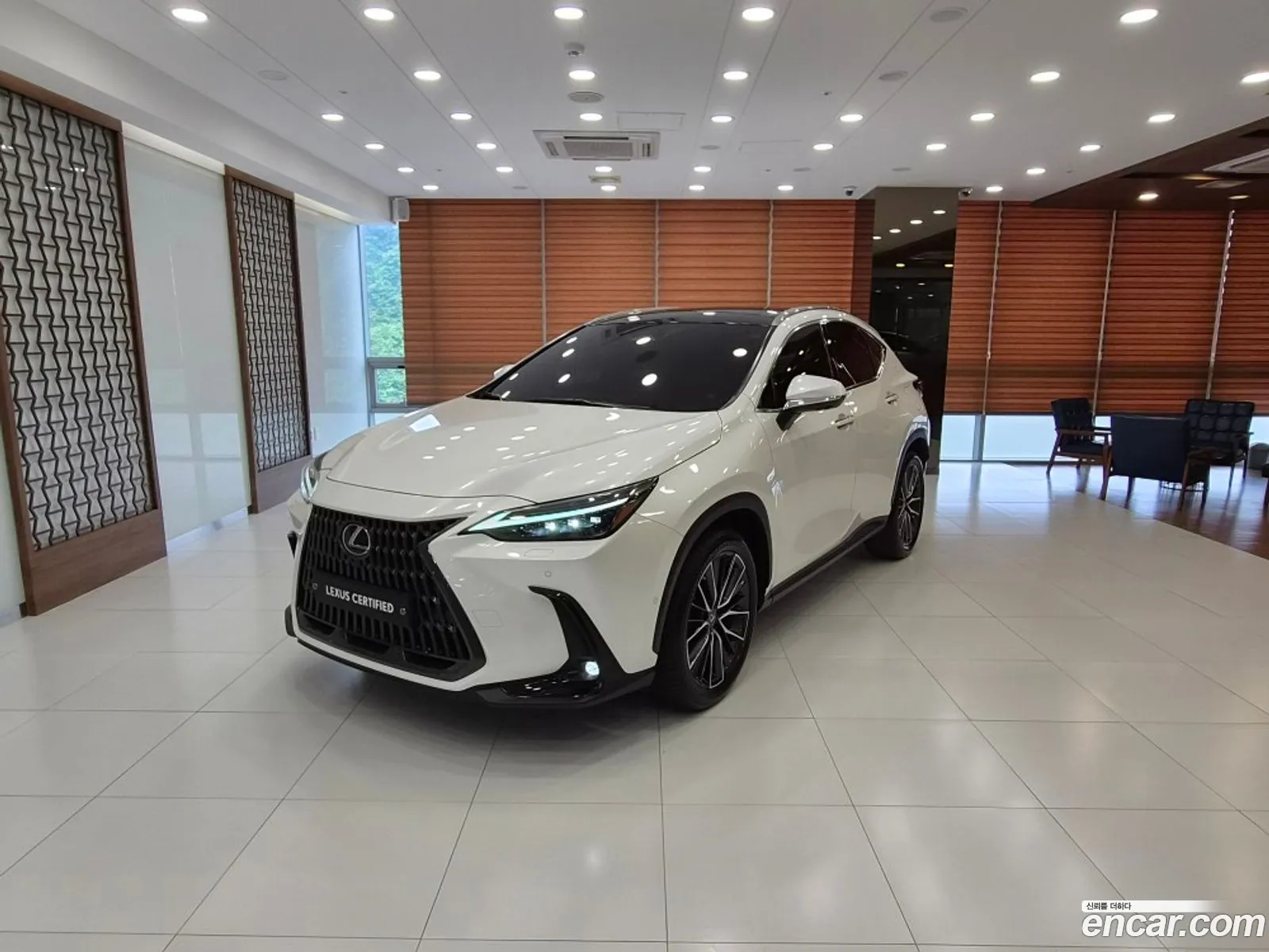 Lexus NX350h 2022 — 13
