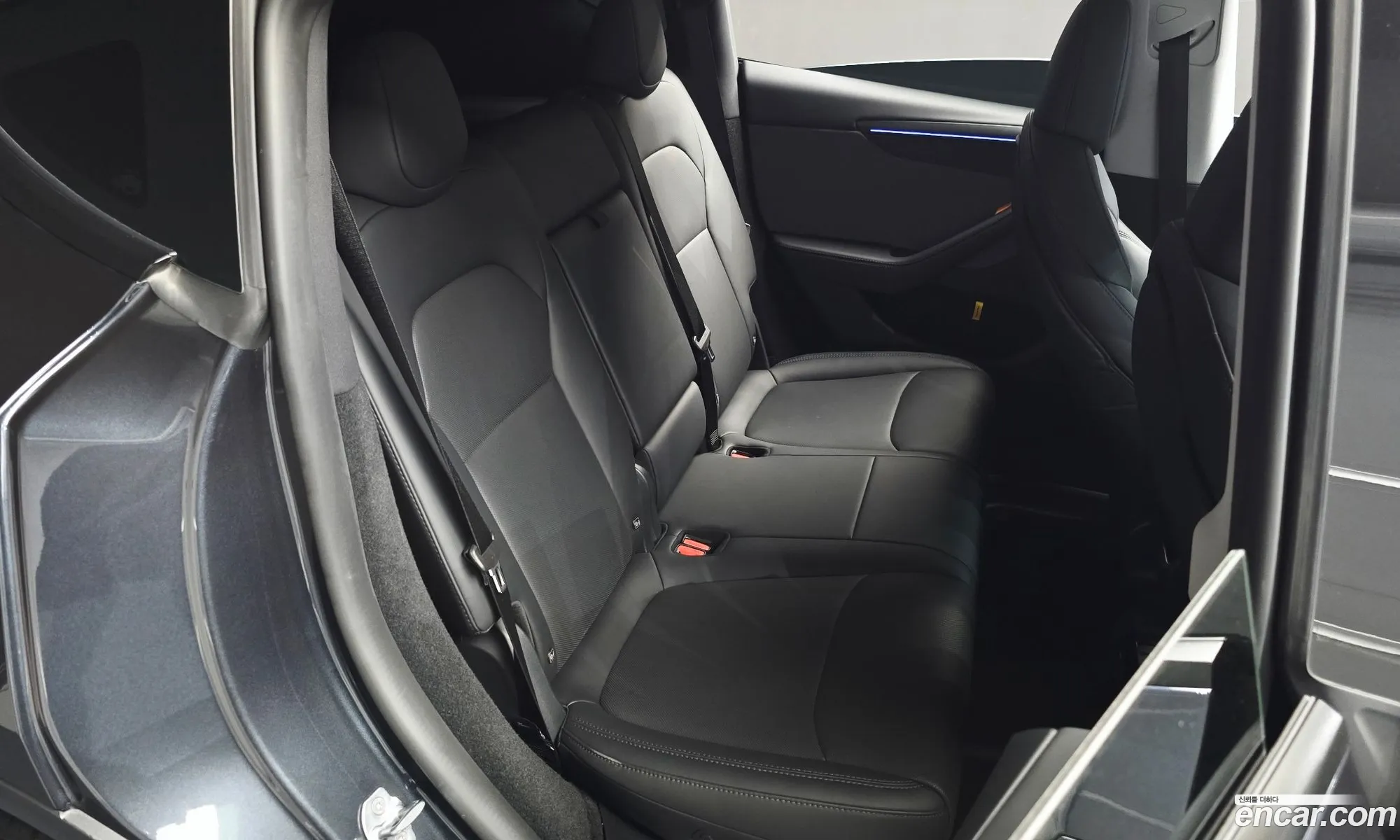 Tesla Model Y 2025 LRWYGCFJ1SC104043 — 22