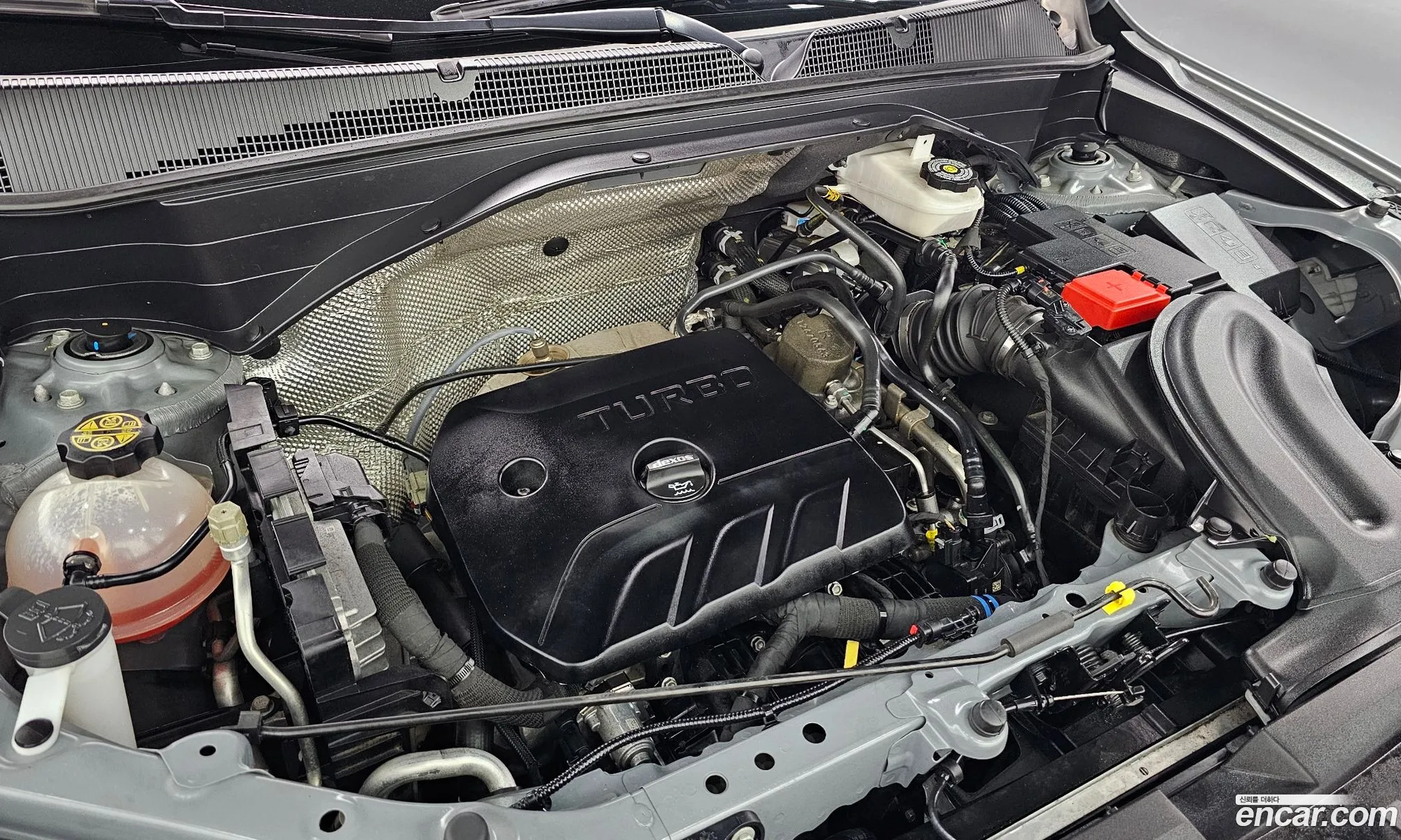 Chevrolet (GM Daewoo) Trailblazer 2023 — 4