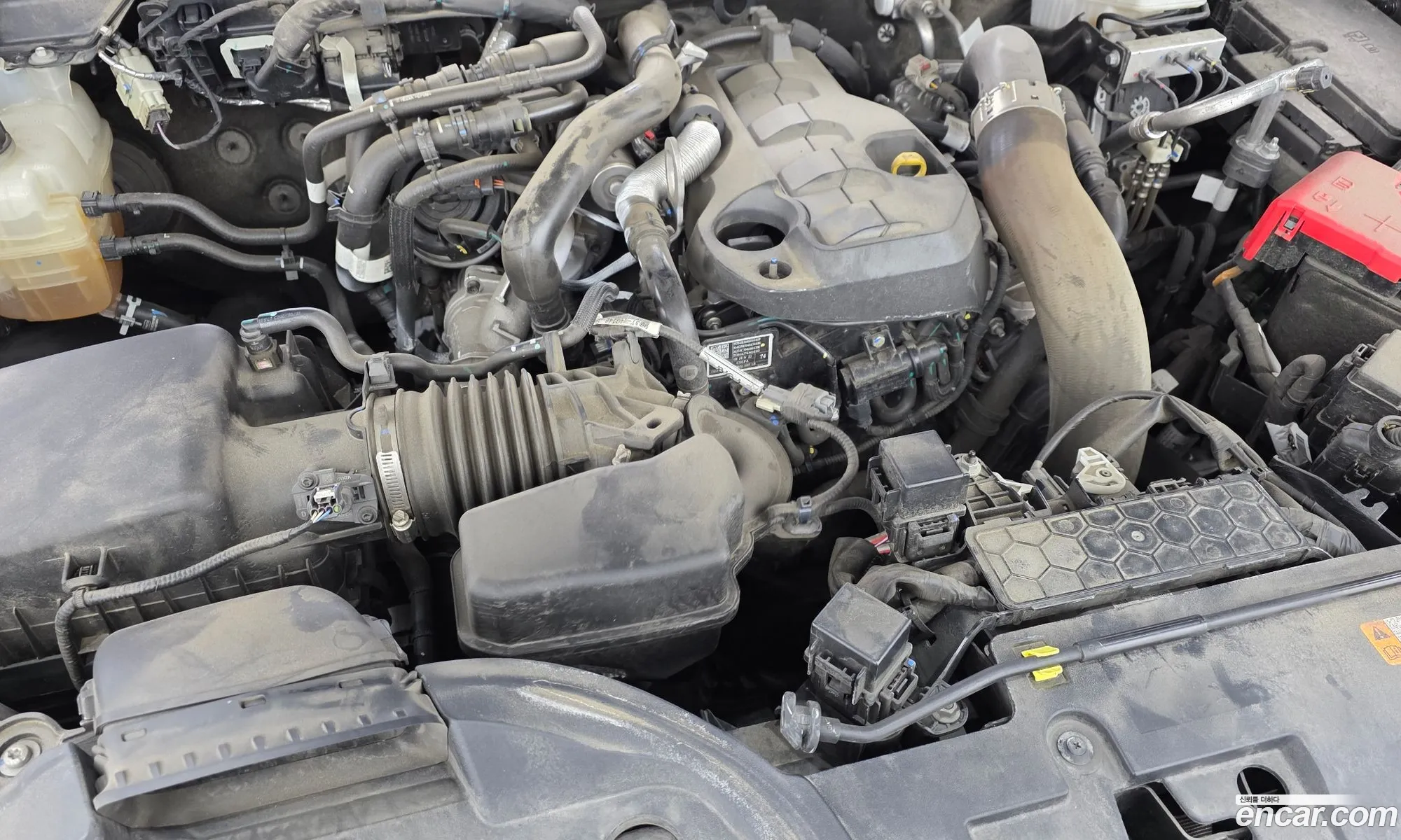 Ford Ranger 2024 — 6