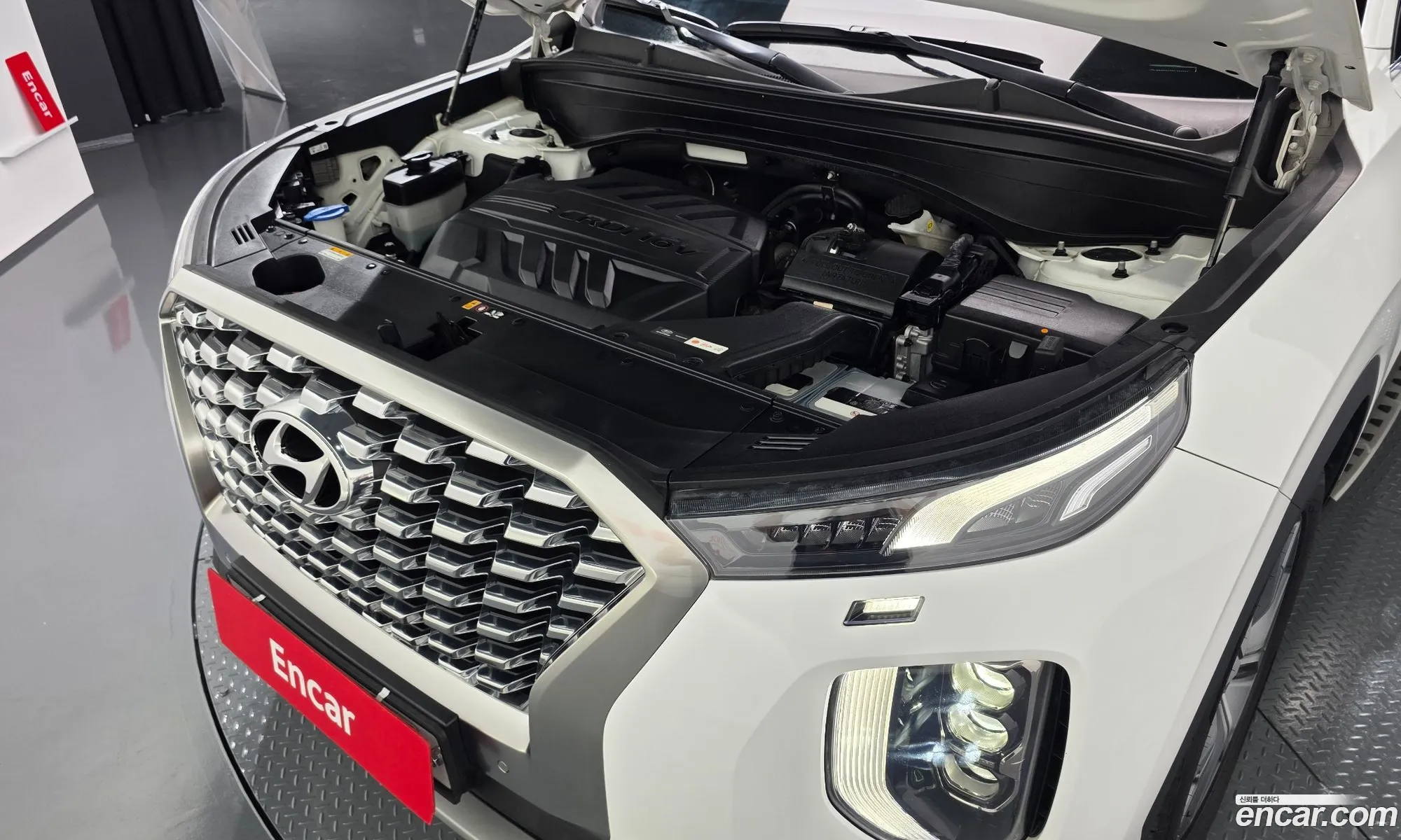 Hyundai Palisade 2019 — 19