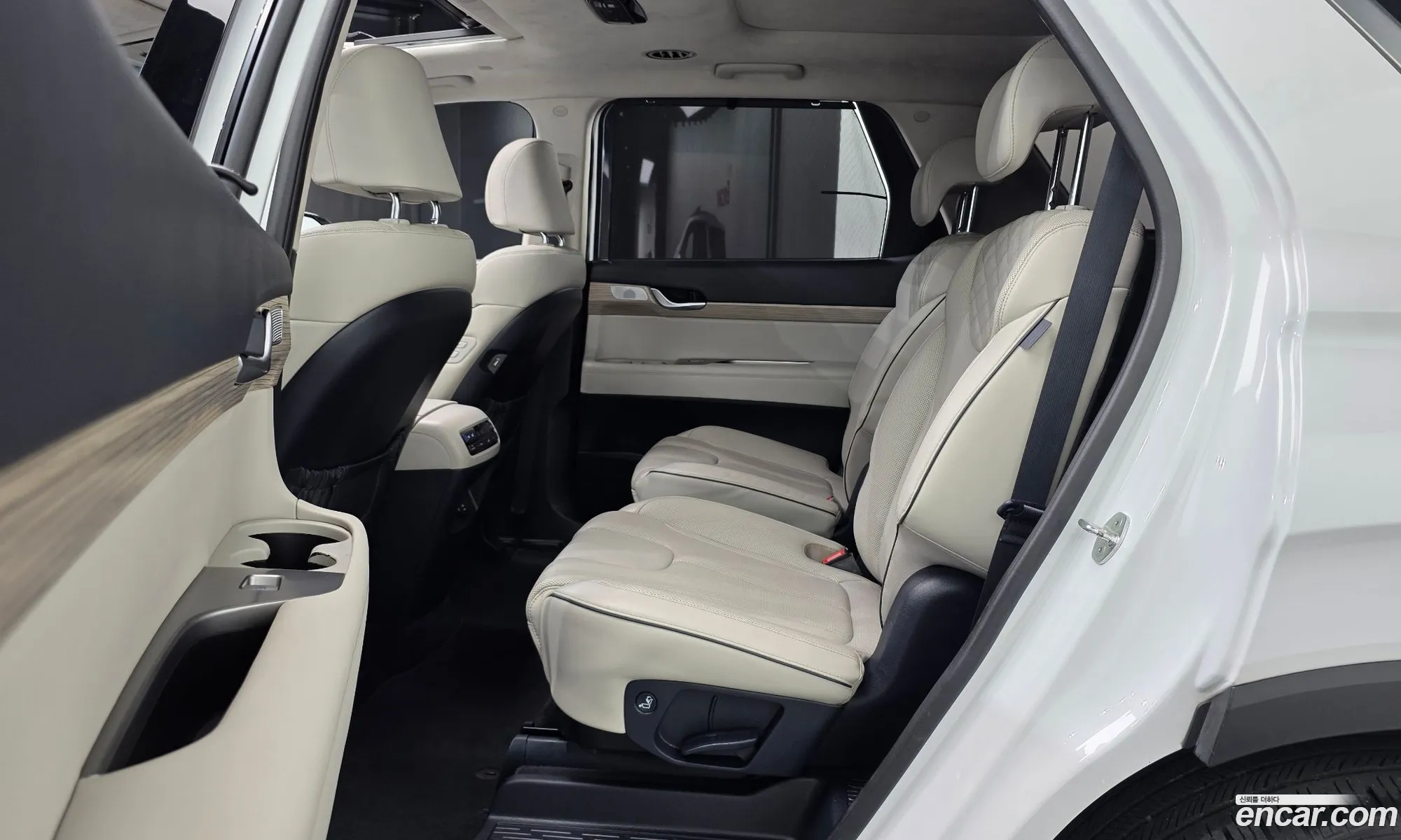Hyundai Palisade 2019 — 15