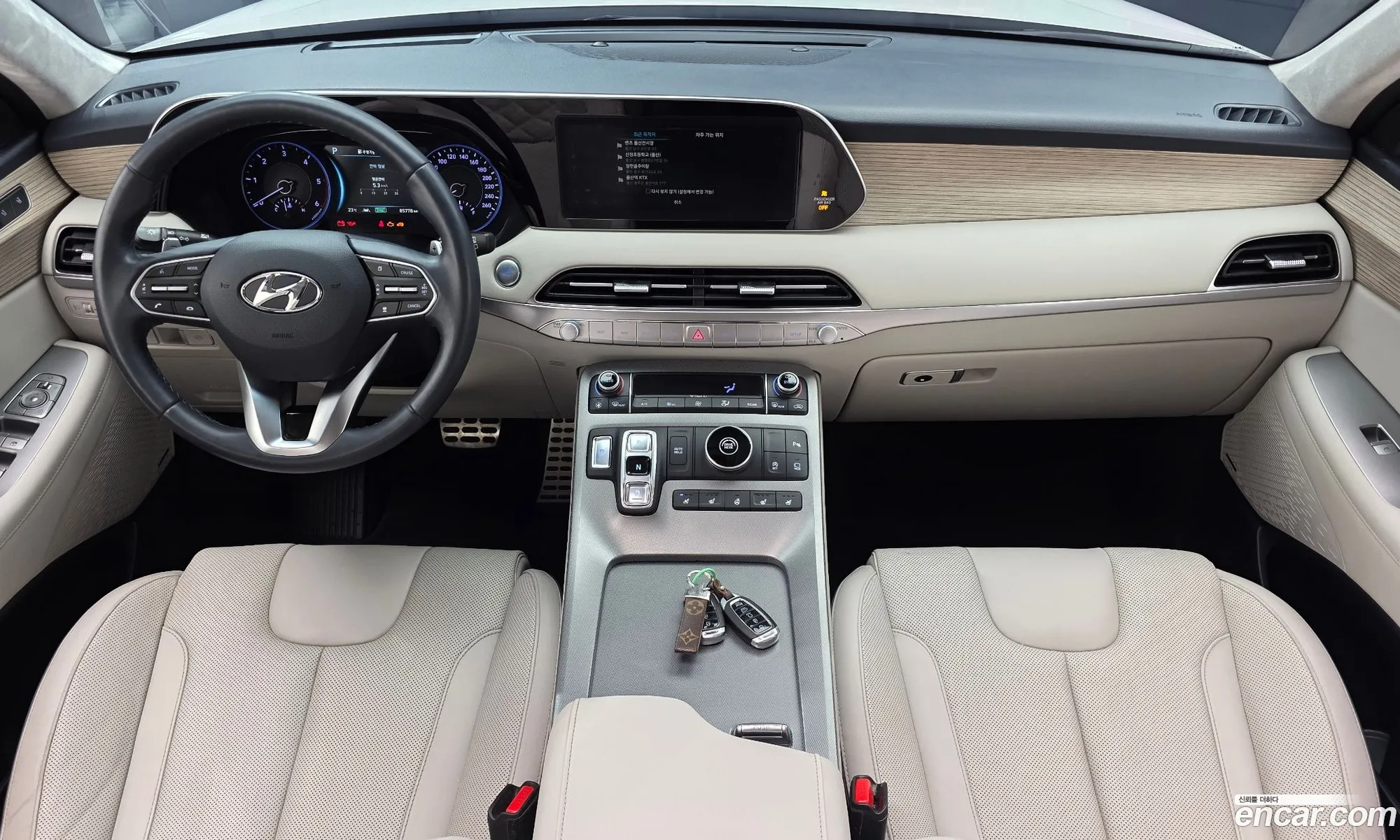 Hyundai Palisade 2019 — 13