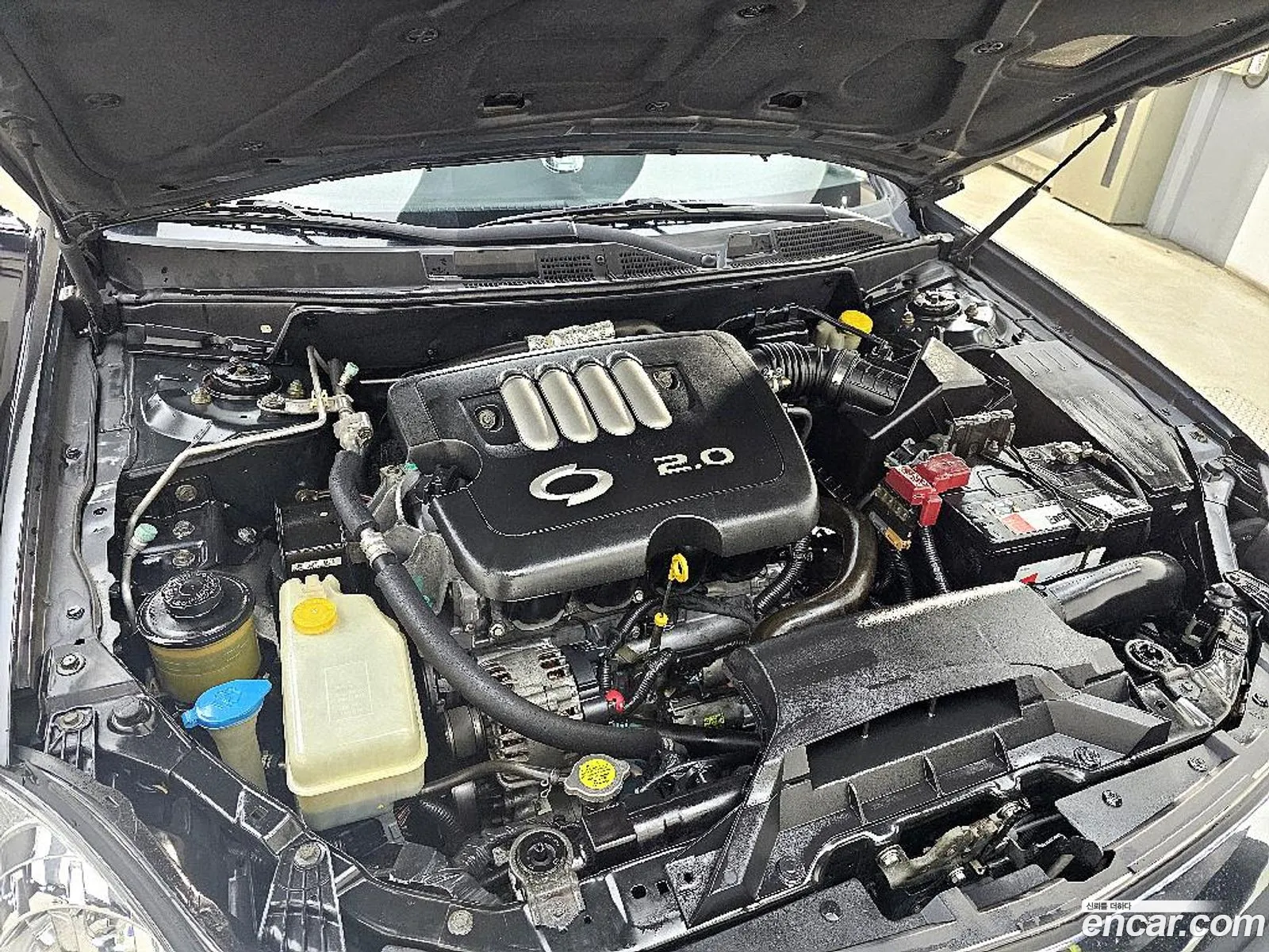 Renault Korea (Samsung) SM5 New Impression 2009 — 5