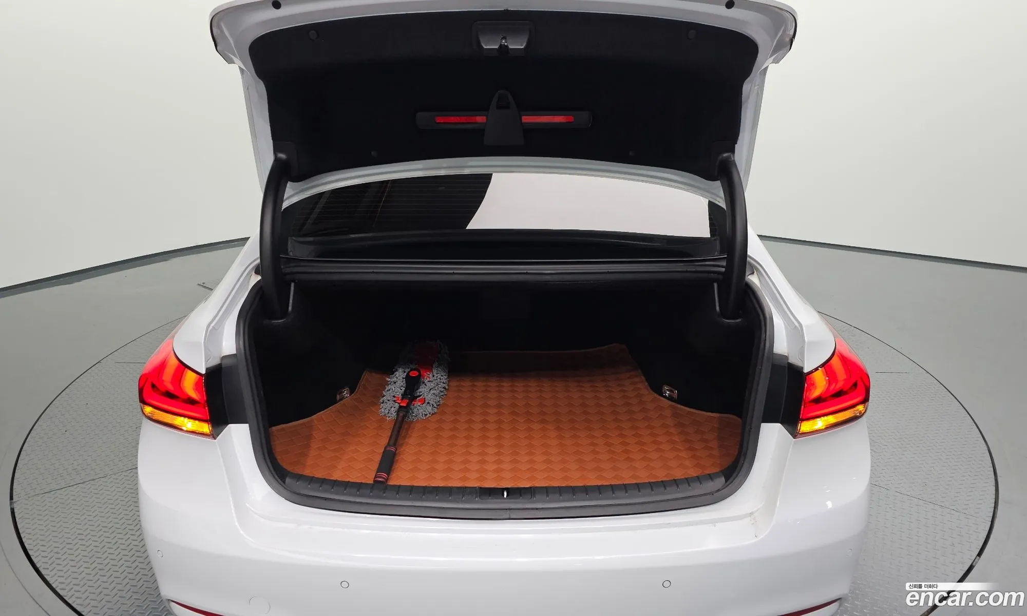 Genesis G80 2017 KMHGL41DDHU221632 — 16