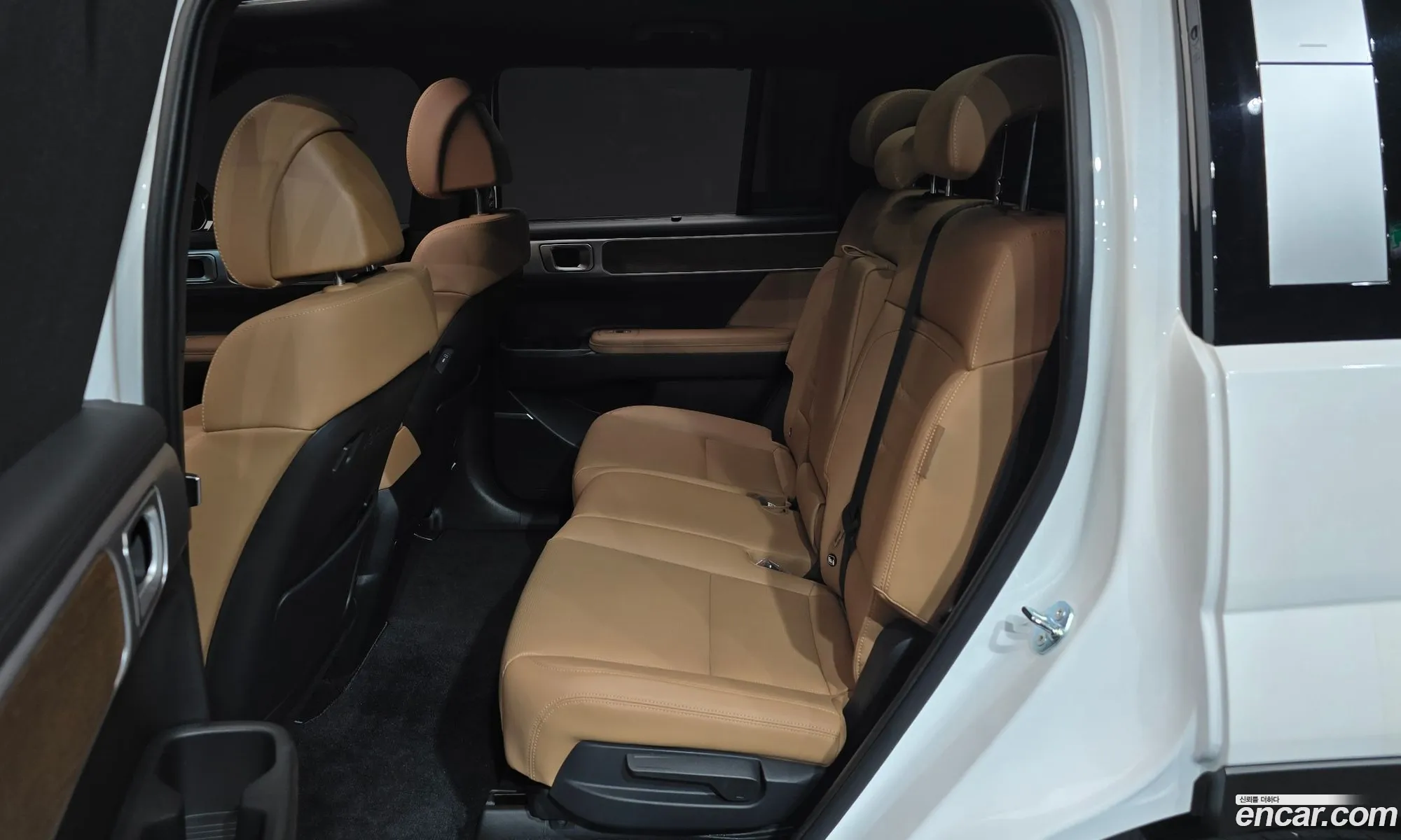 Hyundai Santa Fe 2024 — 19