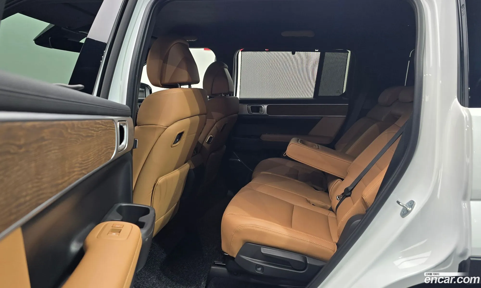 Hyundai Santa Fe 2025 — 17