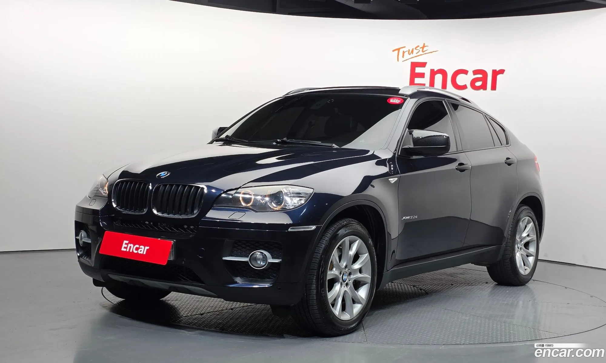BMW X6 2009 WBAFG61019LT74925 — 16