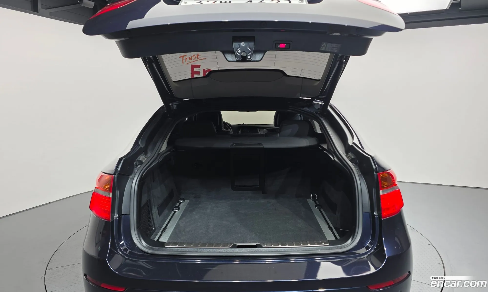 BMW X6 2009 WBAFG61019LT74925 — 3