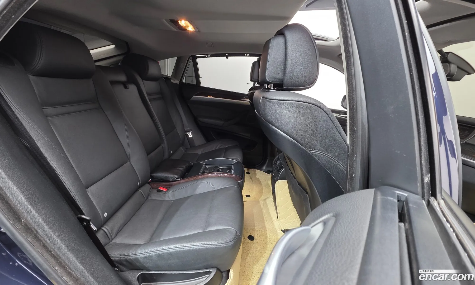 BMW X6 2009 WBAFG61019LT74925 — 6