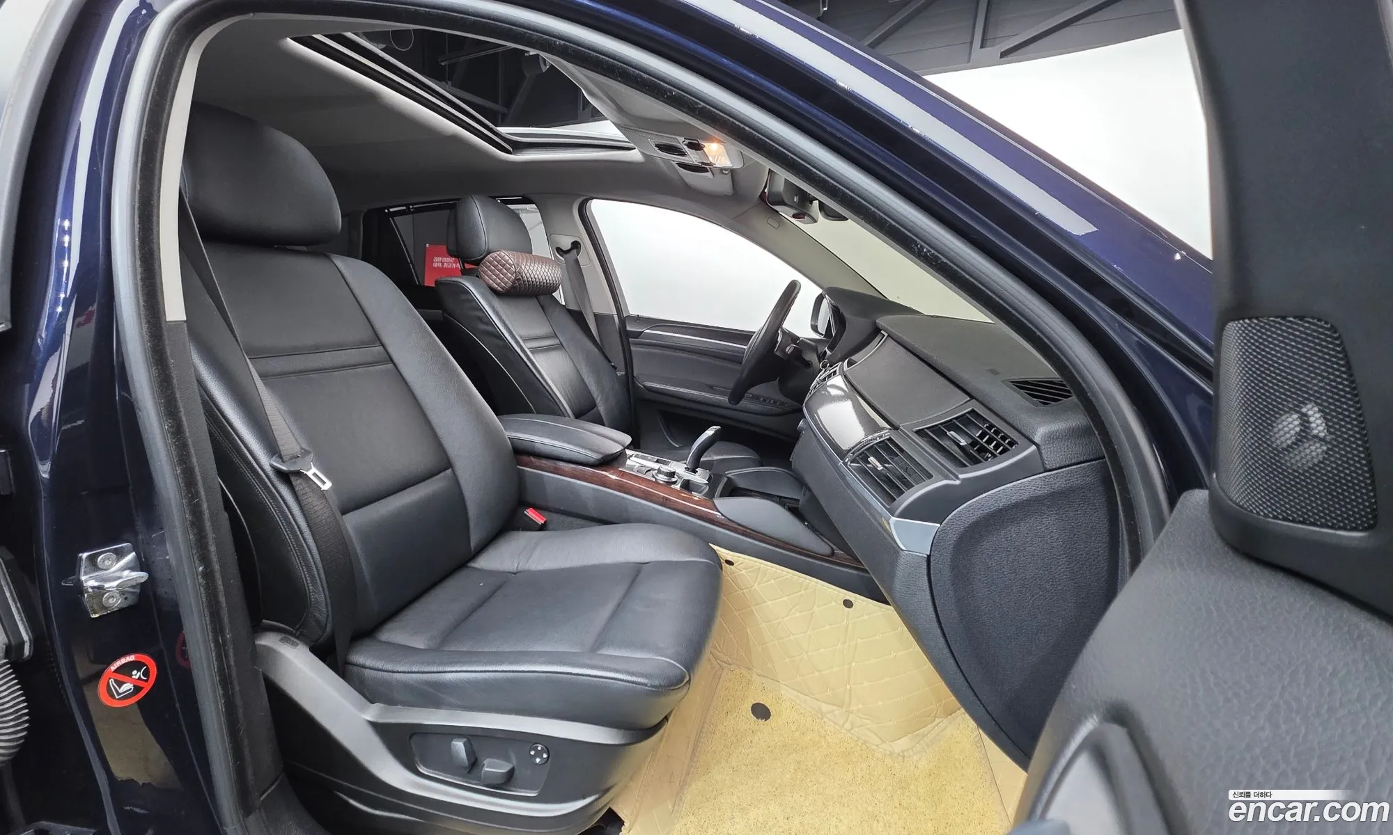 BMW X6 2009 WBAFG61019LT74925 — 15