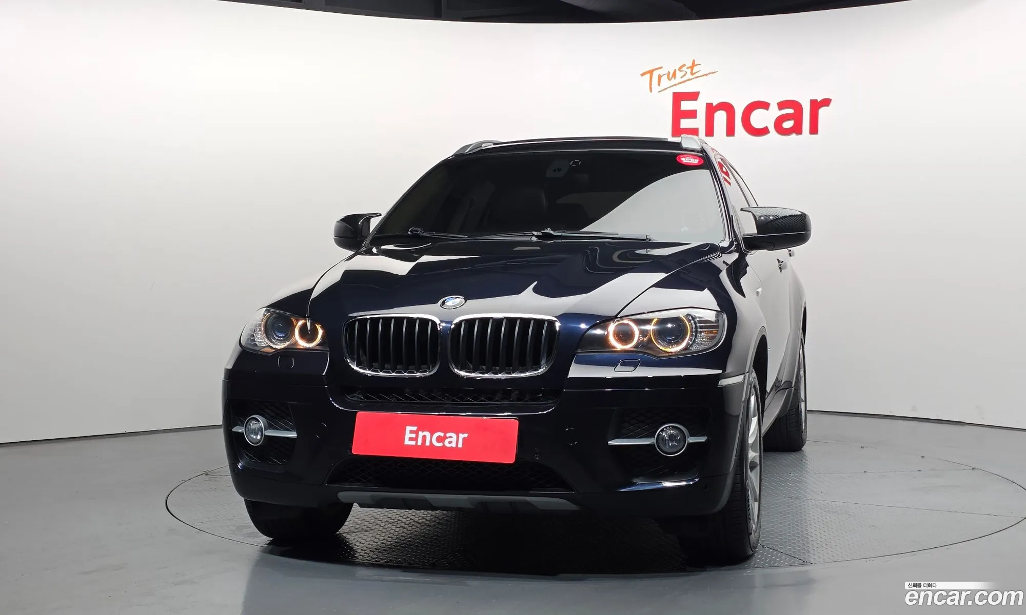 BMW X6 2009 WBAFG61019LT74925 — 10