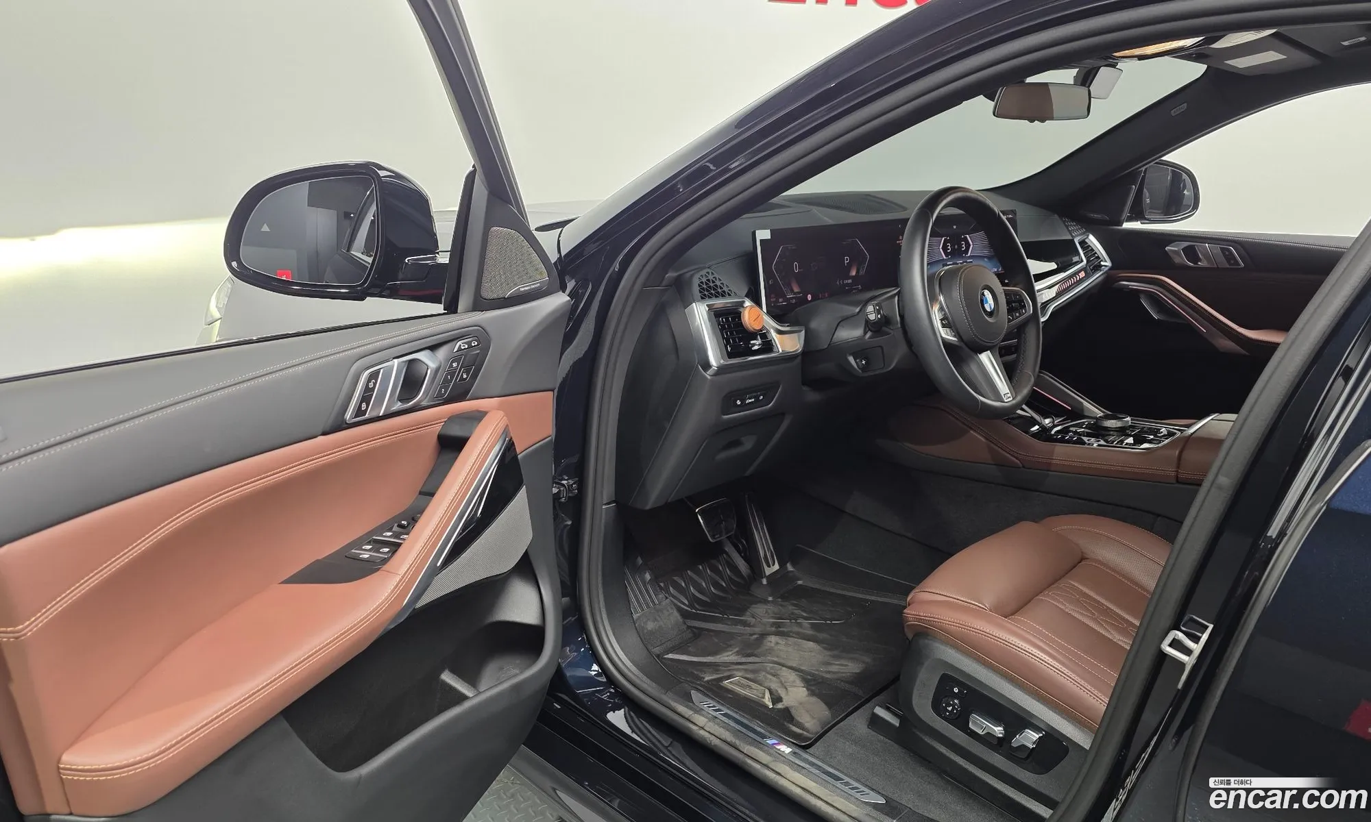 BMW X6 2025 WBA31EX06T9150494 — 10