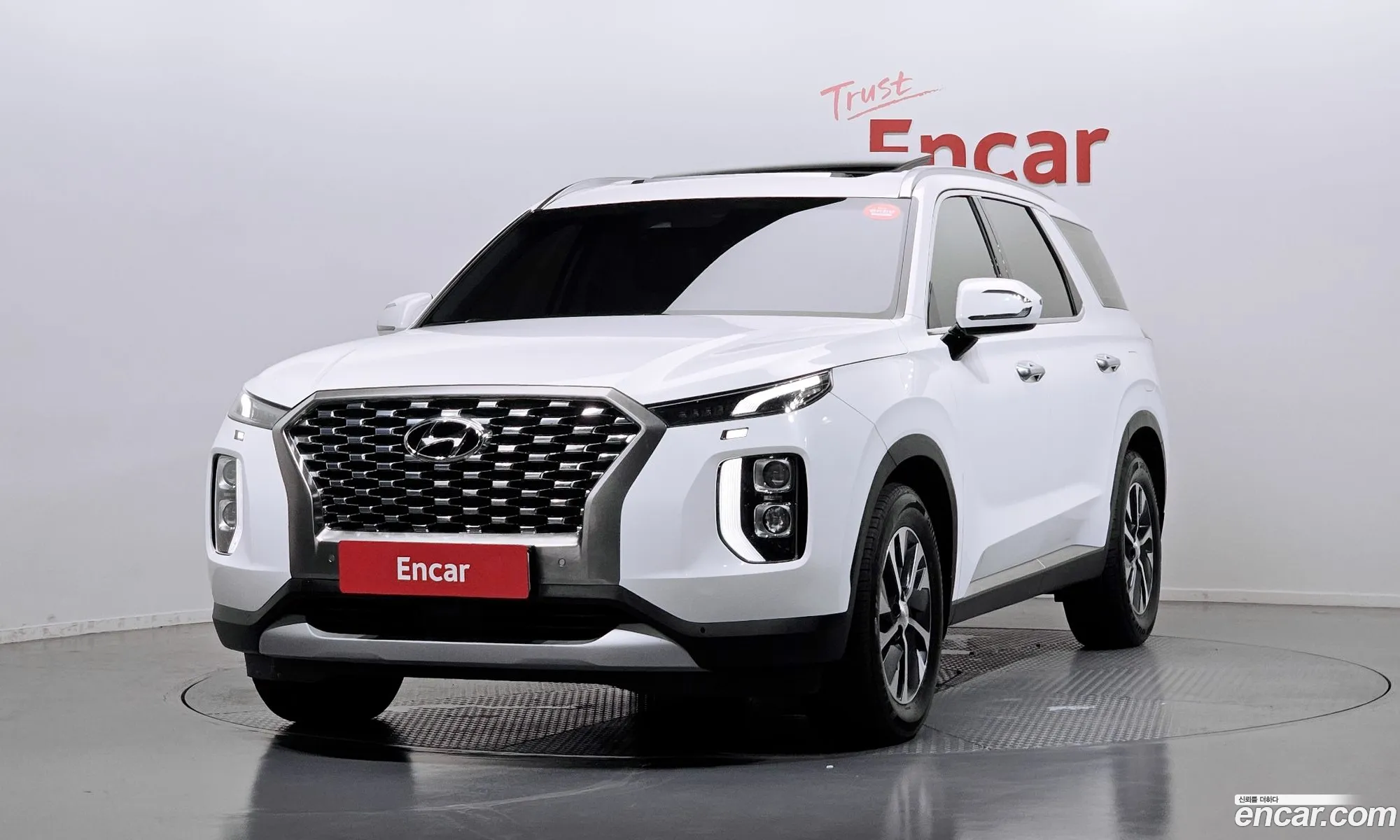 Hyundai Palisade 2021 — 25