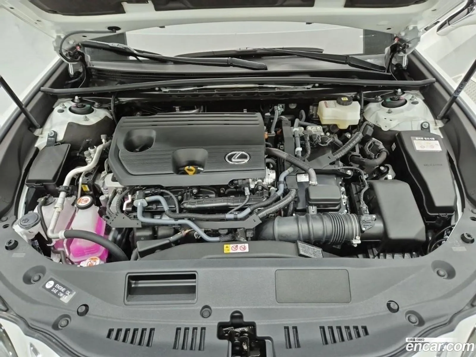 Lexus ES300h 7th Gen 2026 — 17