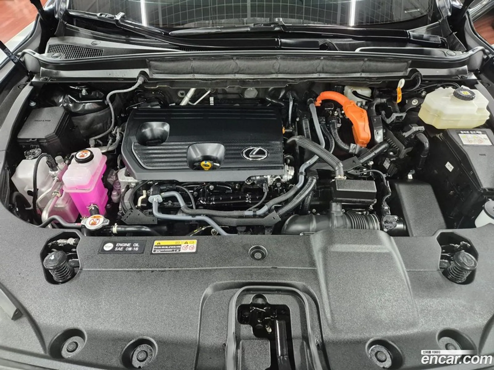 Lexus RX350h 2025 — 7