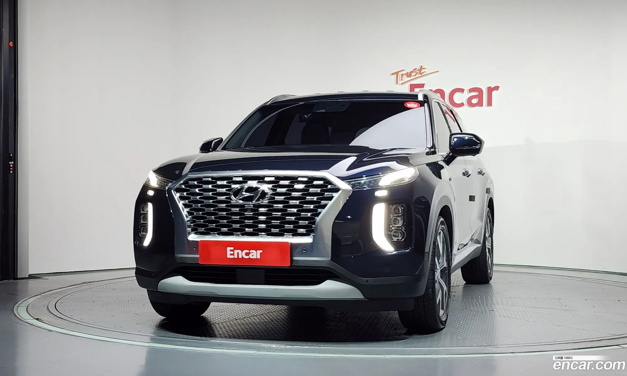 Hyundai Palisade 2020 — 18