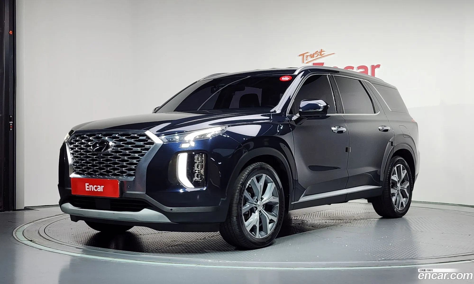 Hyundai Palisade 2020 — 17