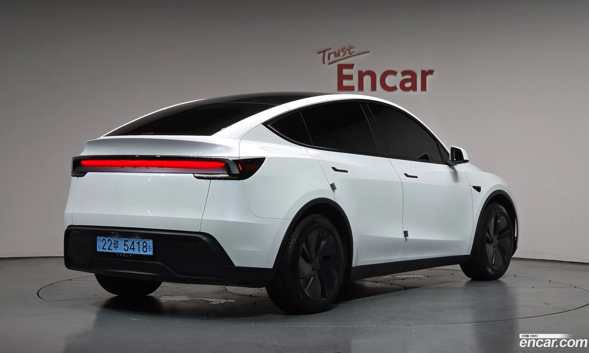 Tesla Model Y 2025 LRWYGCFJ3SC252839 — 11