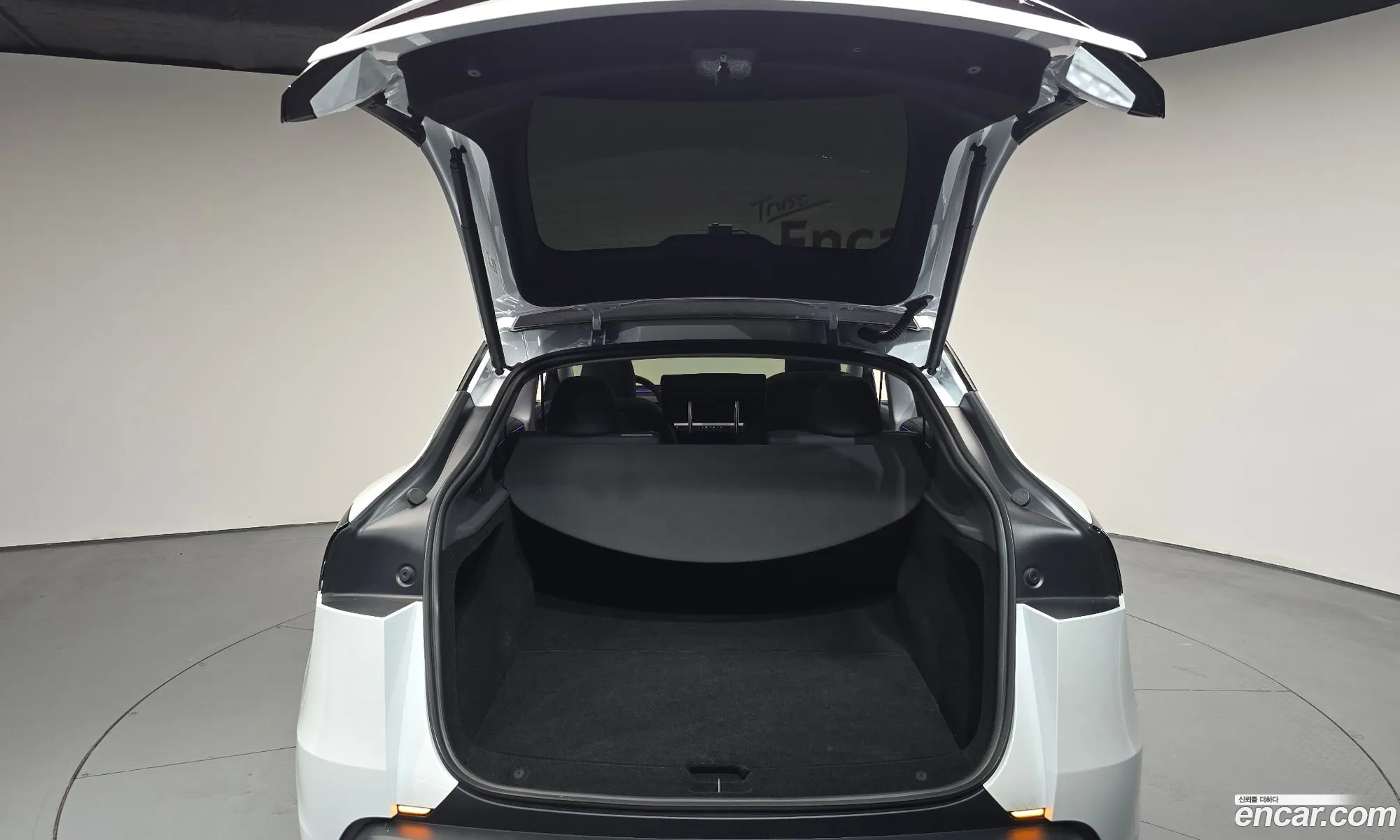 Tesla Model Y 2025 LRWYGCFJ3SC252839 — 26