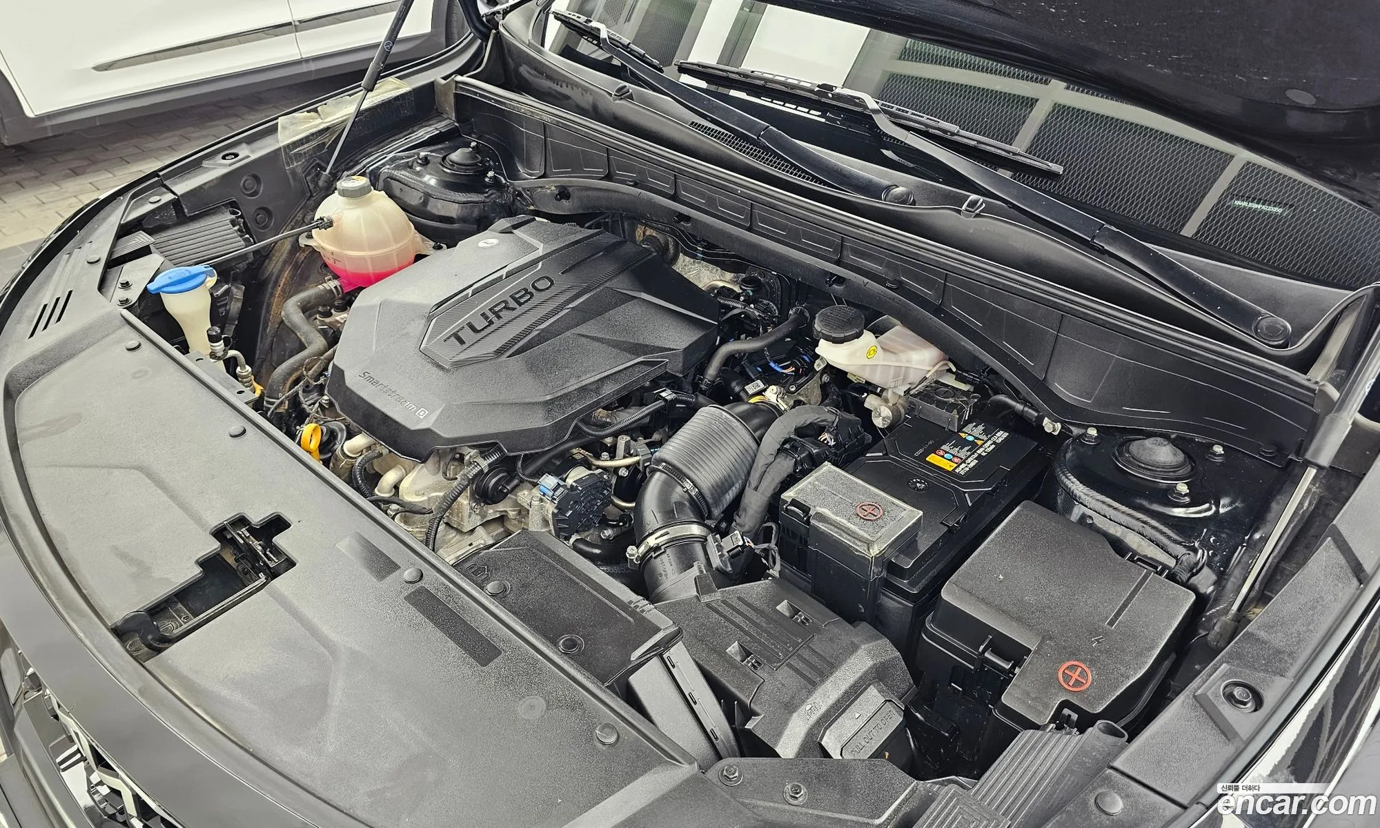 Kia Sorento 2023 — 2