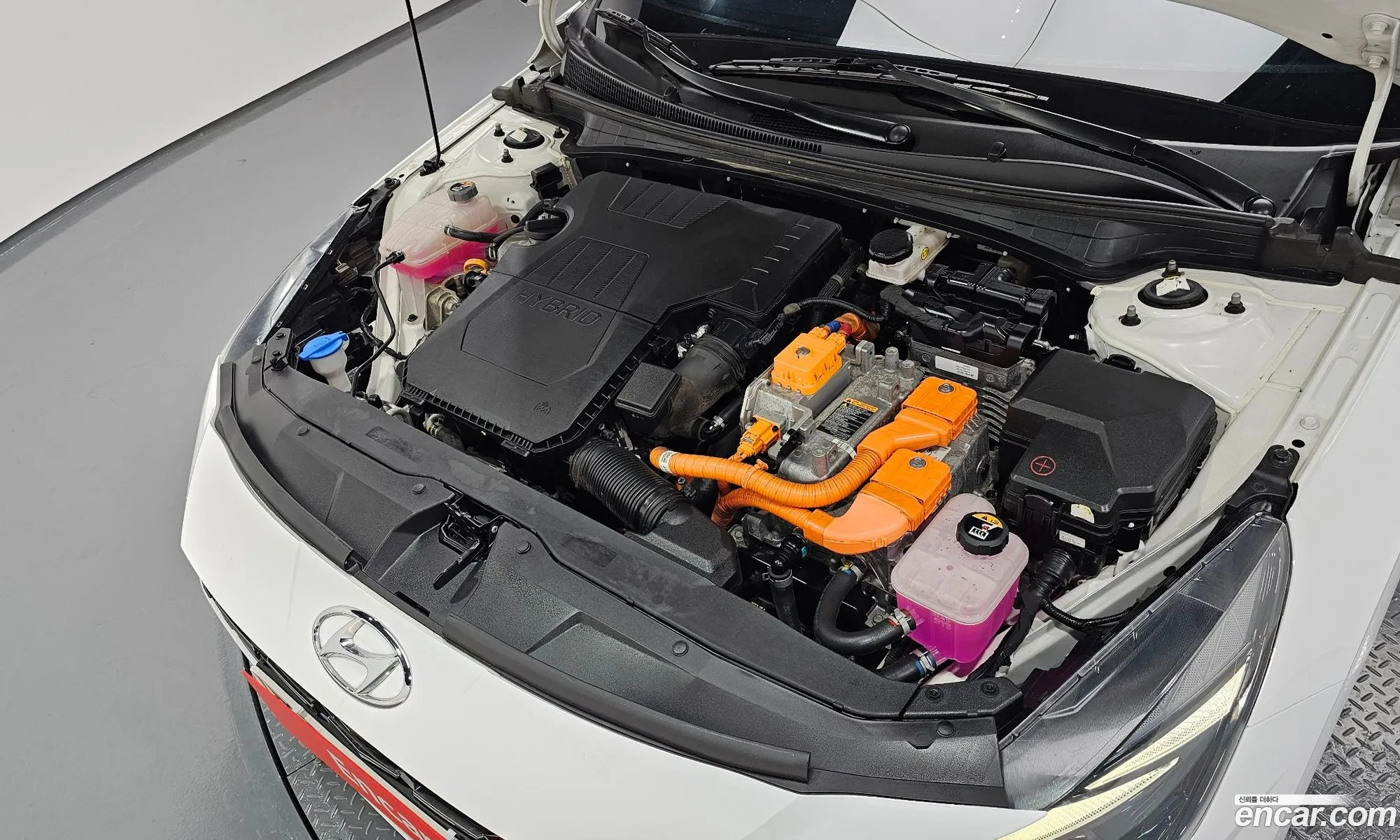 Hyundai Elantra Hybrid 2022 — 24