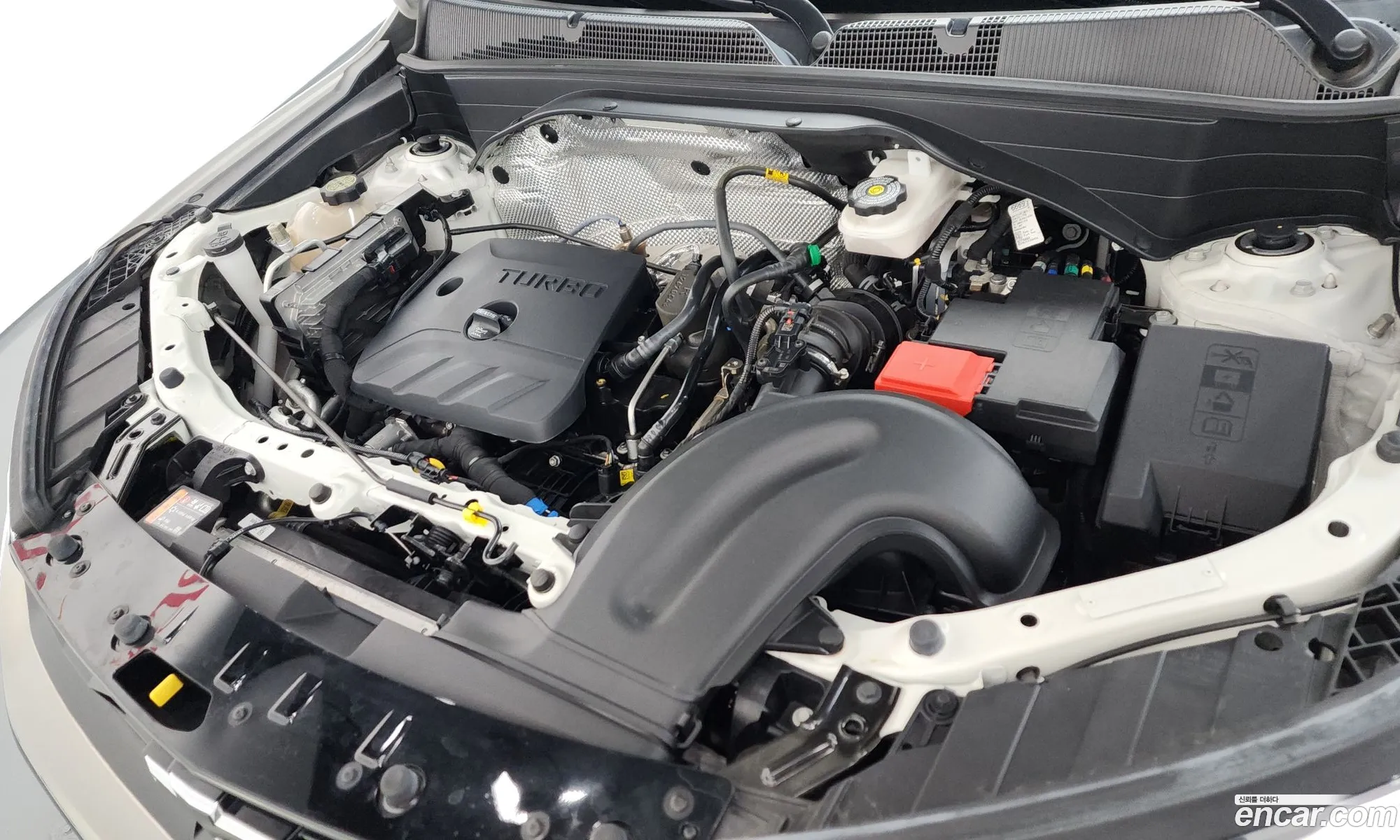 Chevrolet (GM Daewoo) Trailblazer 2023 — 37