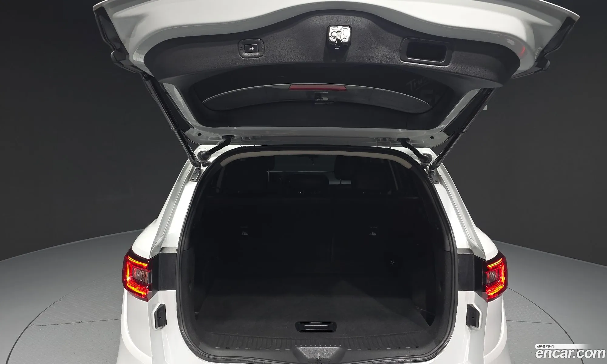 Renault Korea (Samsung) QM6 2018 — 16