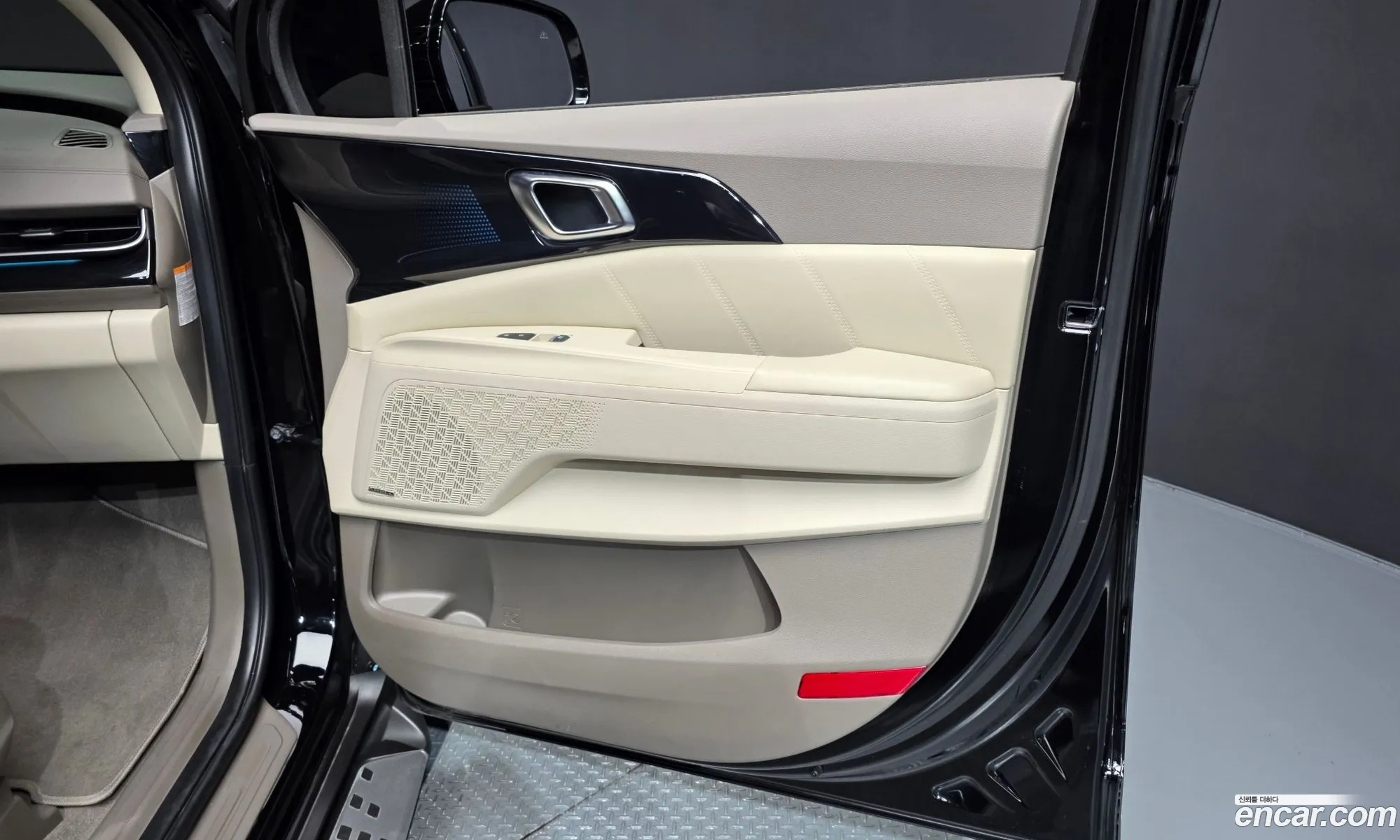Kia Carnival 2024 — 19
