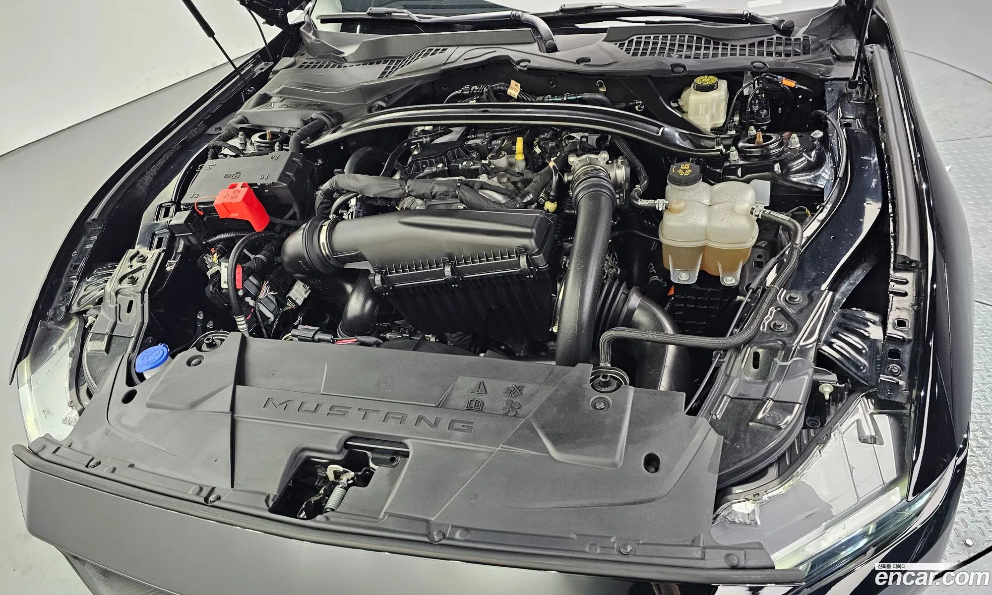 Ford Mustang 7th Gen 2024 — 5