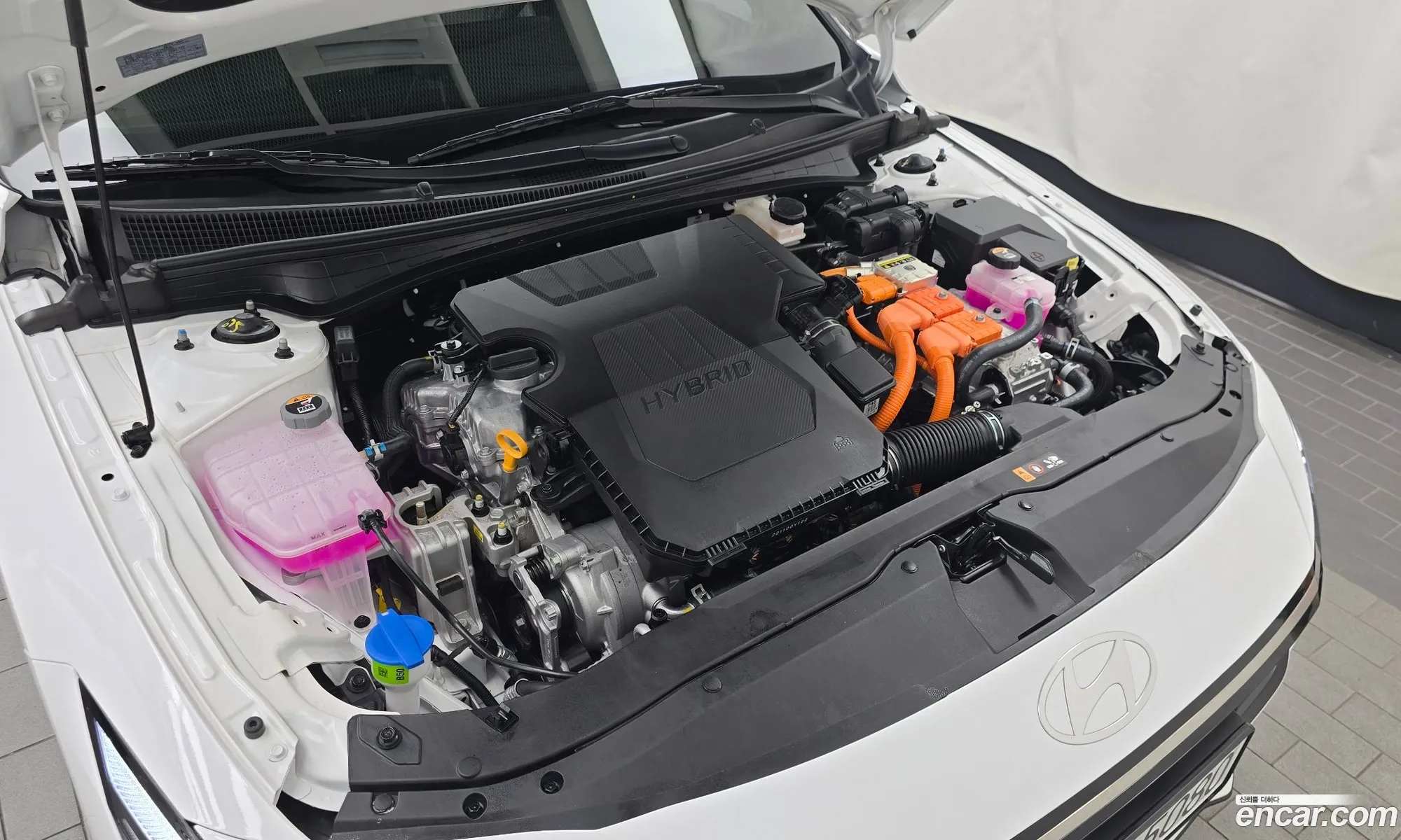 Hyundai Elantra Hybrid 2025 — 28