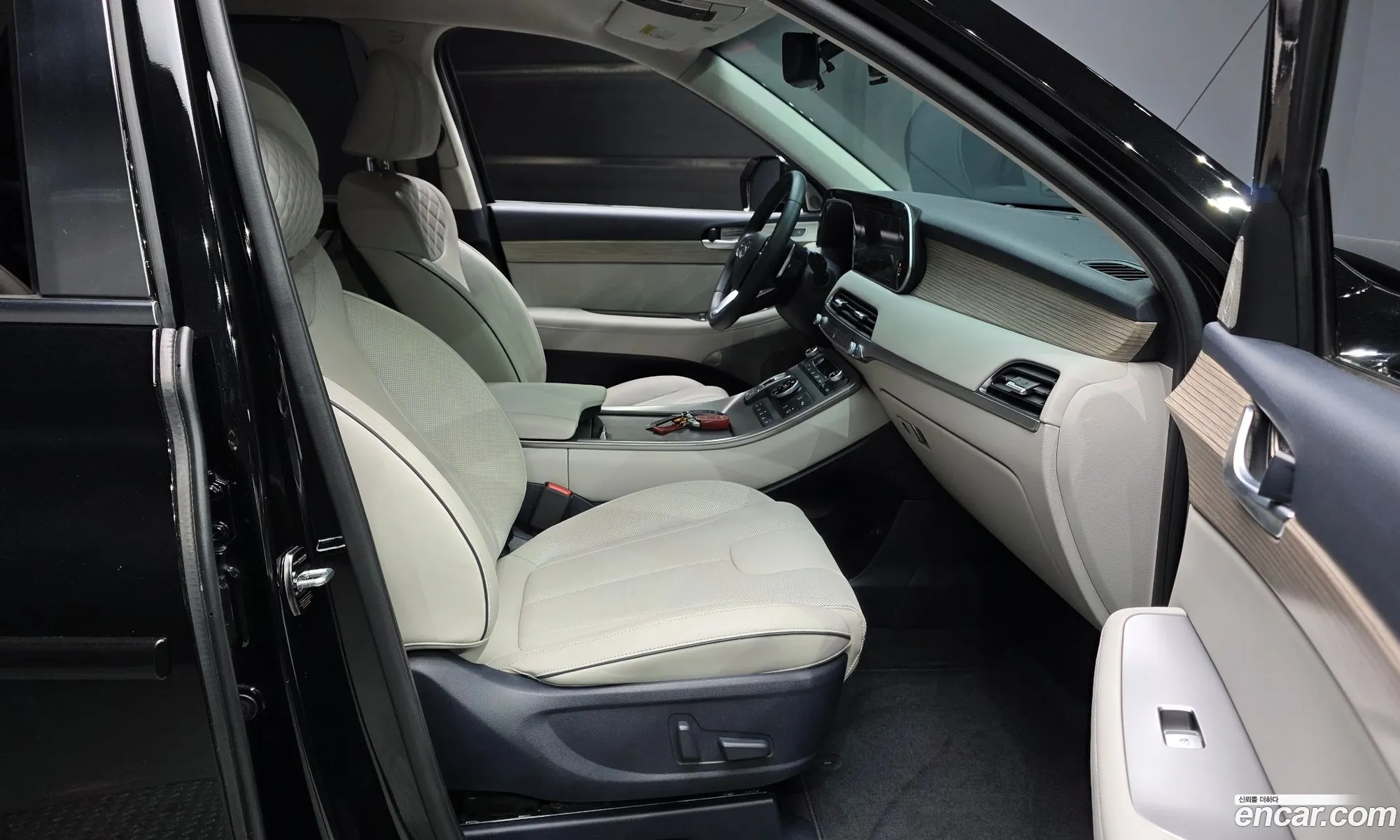 Hyundai Palisade 2019 — 17