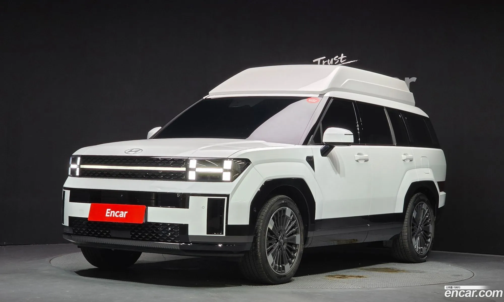 Hyundai Santa Fe 2025 — 28