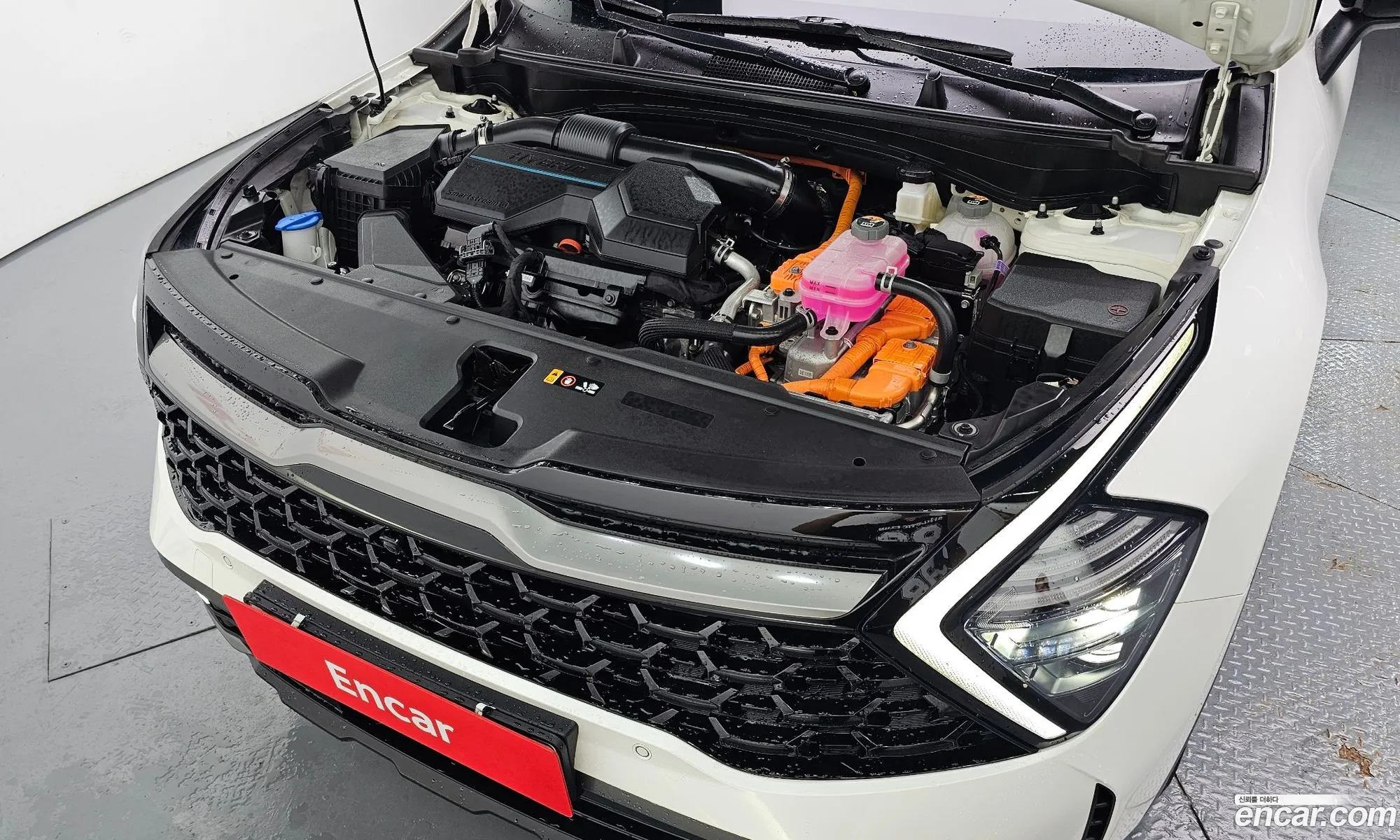 Kia Sportage Hybrid 2024 — 26