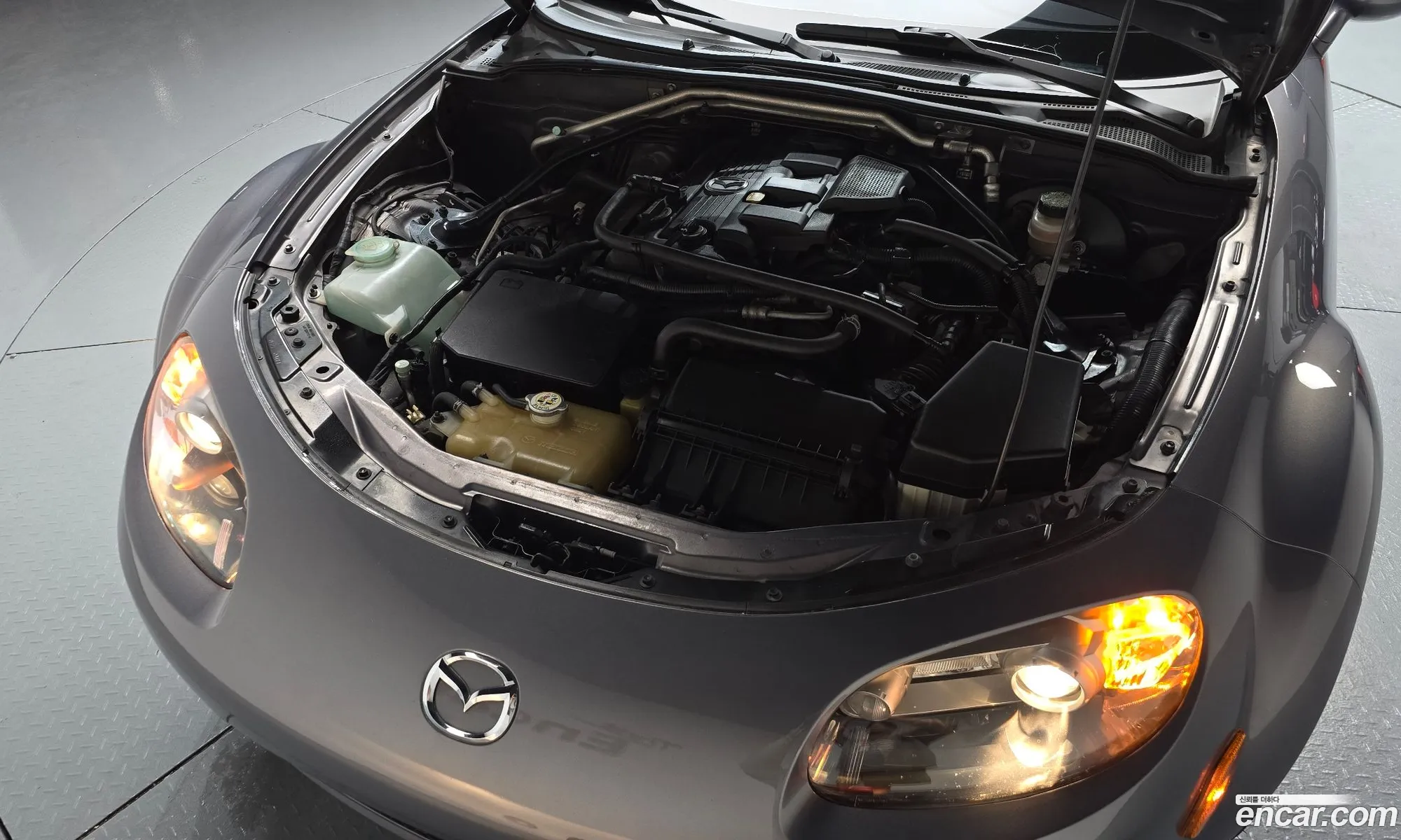 Mazda MX-5 Miata 2007 JM1NC25F870132889 — 8