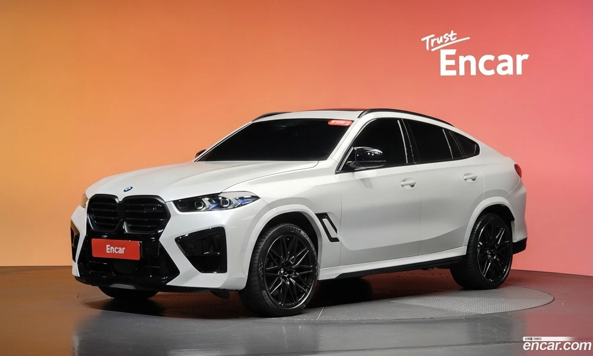 BMW X6 M