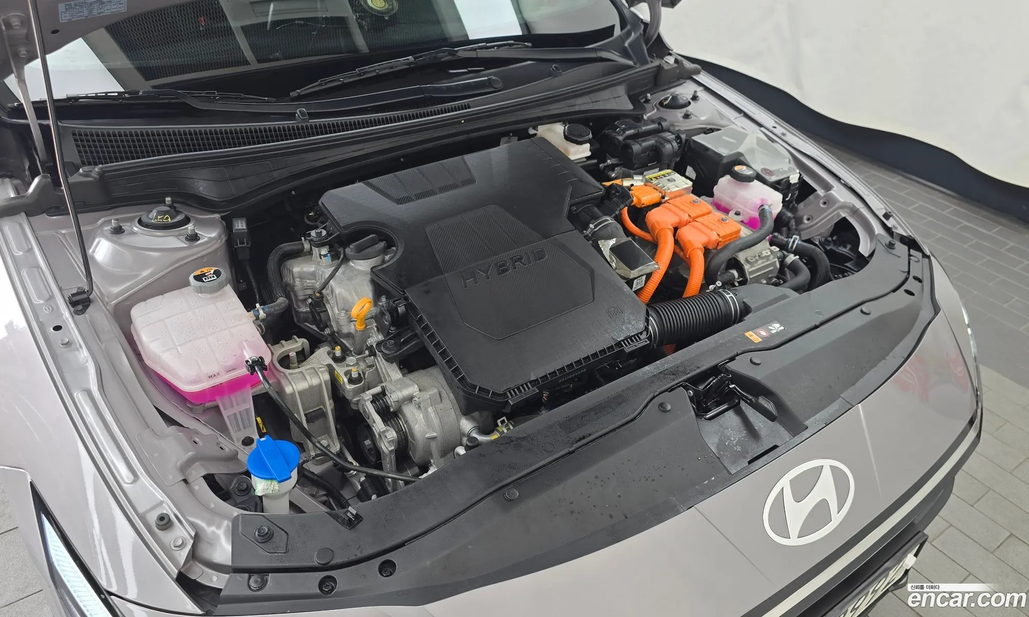 Hyundai Elantra Hybrid 2023 — 19