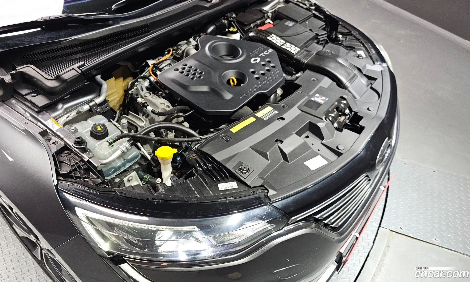 Renault Korea (Samsung) SM6 2018 — 19
