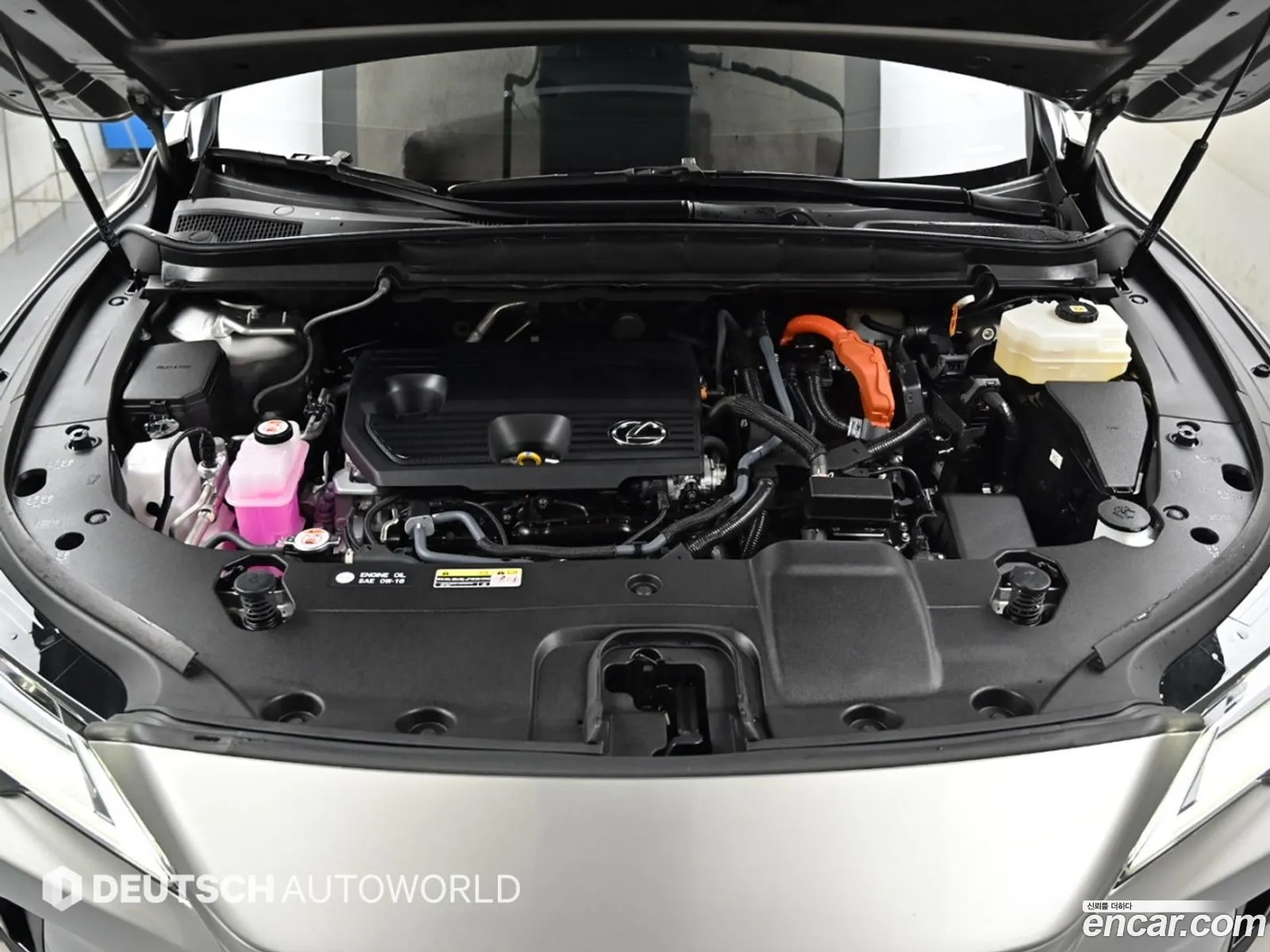 Lexus RX350h 2025 — 18