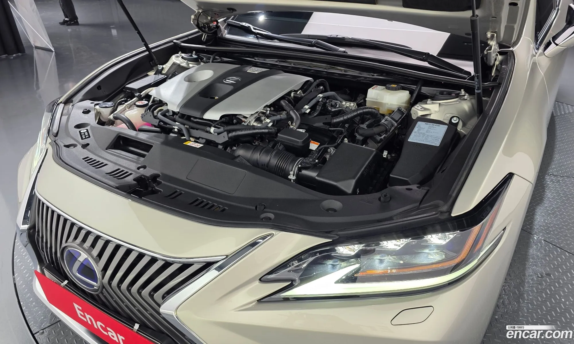 Lexus ES300h 7th Gen 2019 — 30