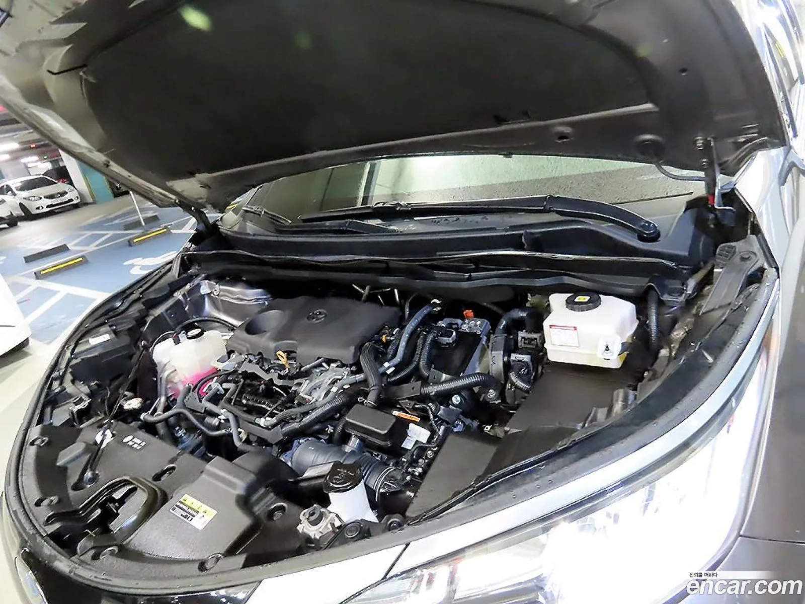Toyota Sienna 2021 — 4